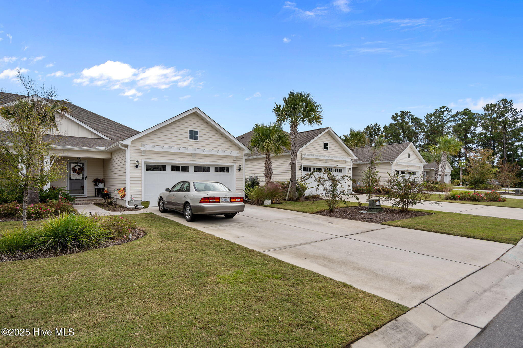 100539451 | Photo 52