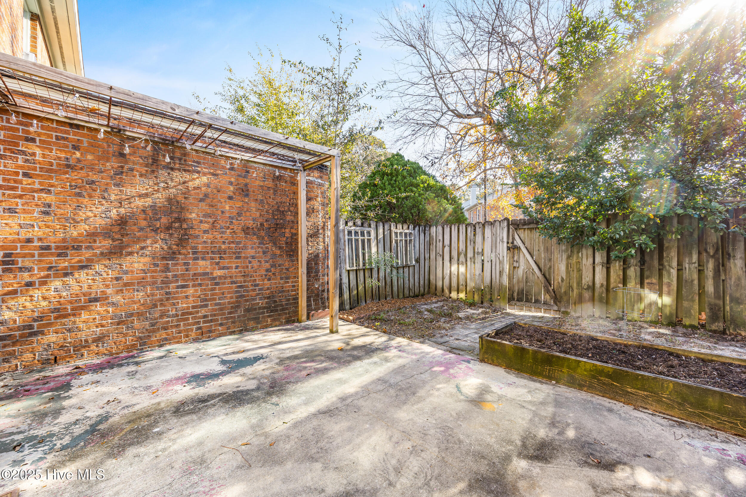 100545120 | Photo 17