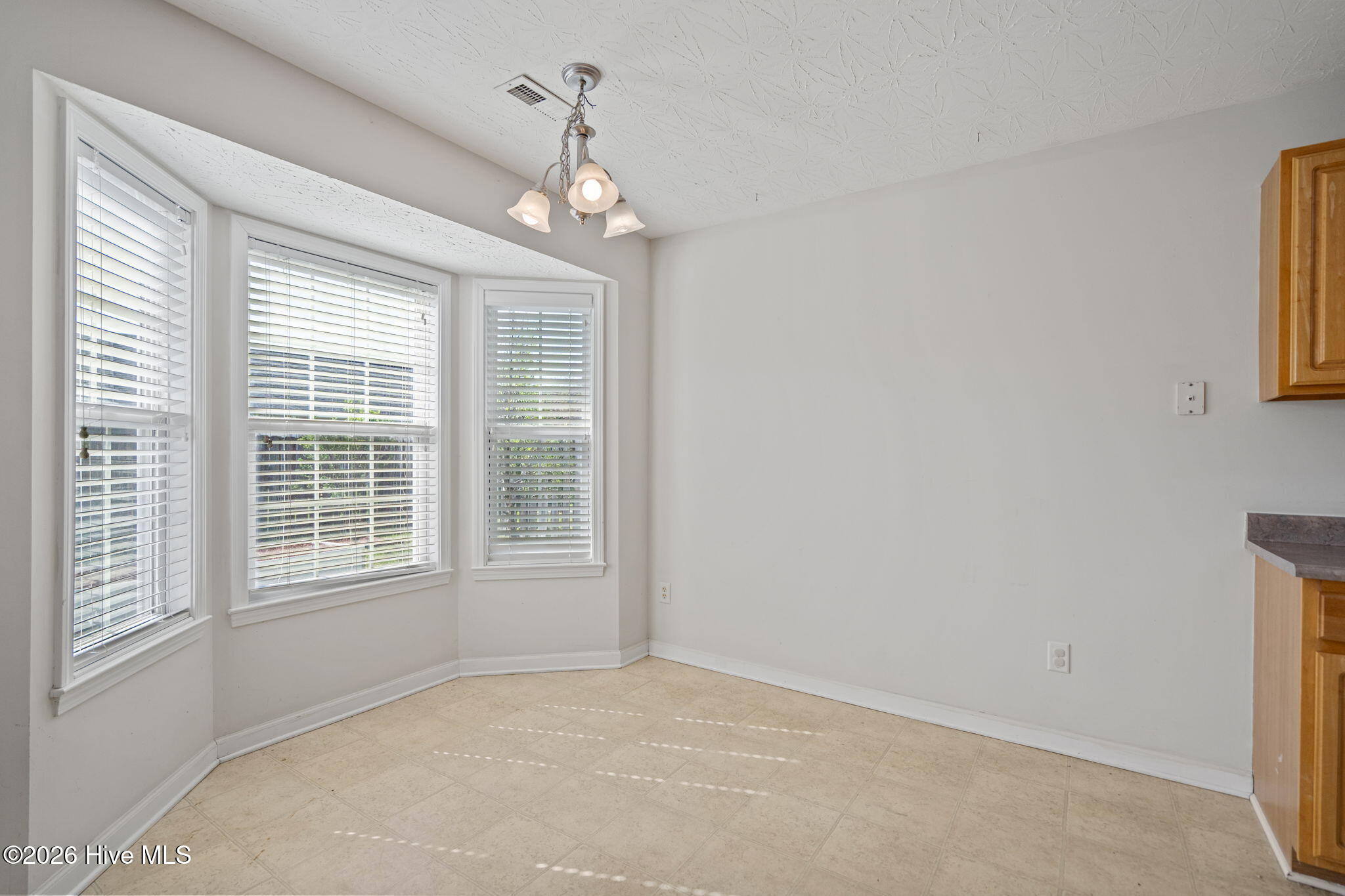 100563369 | Photo 25