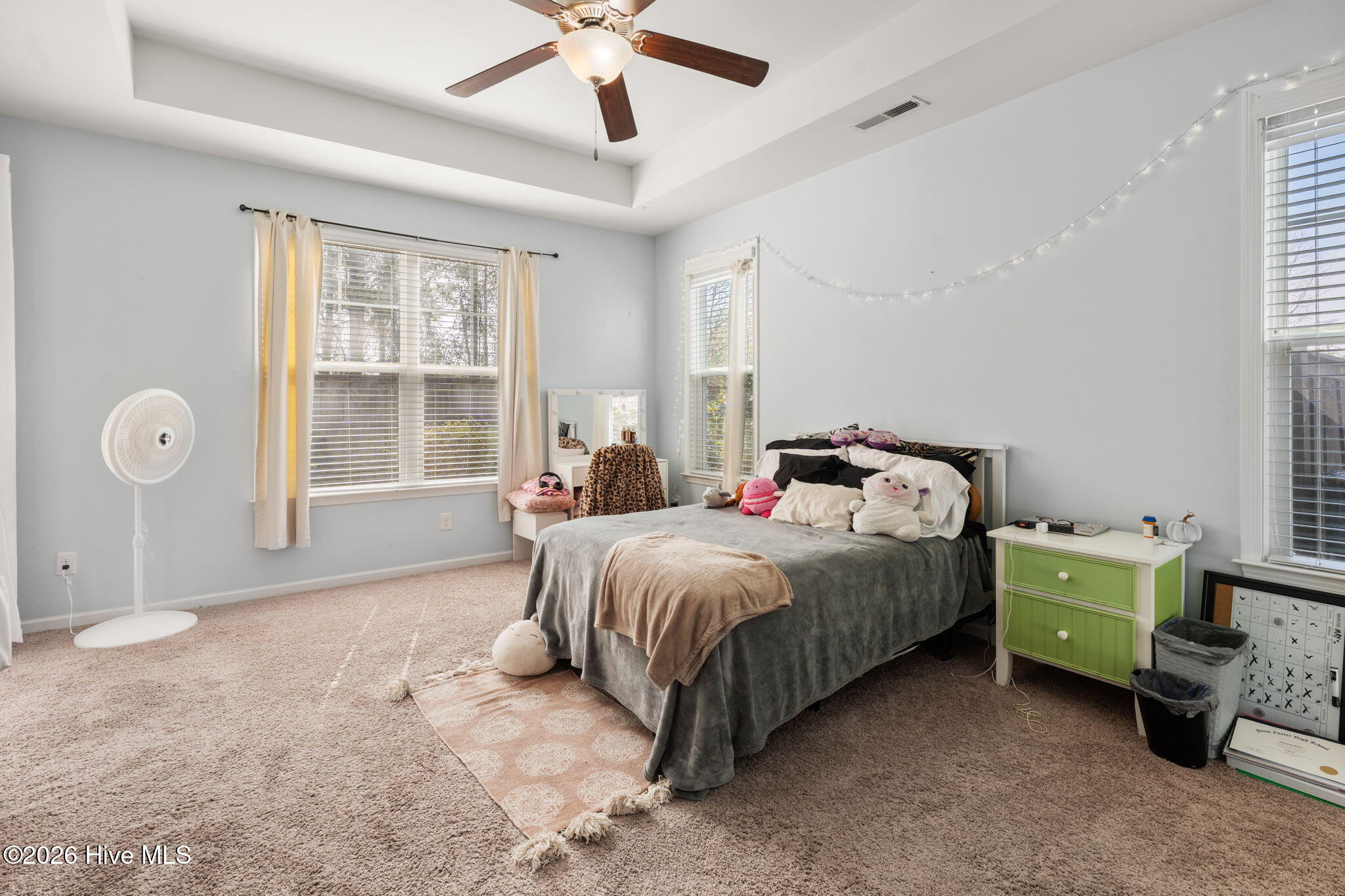 100557369 | Photo 33