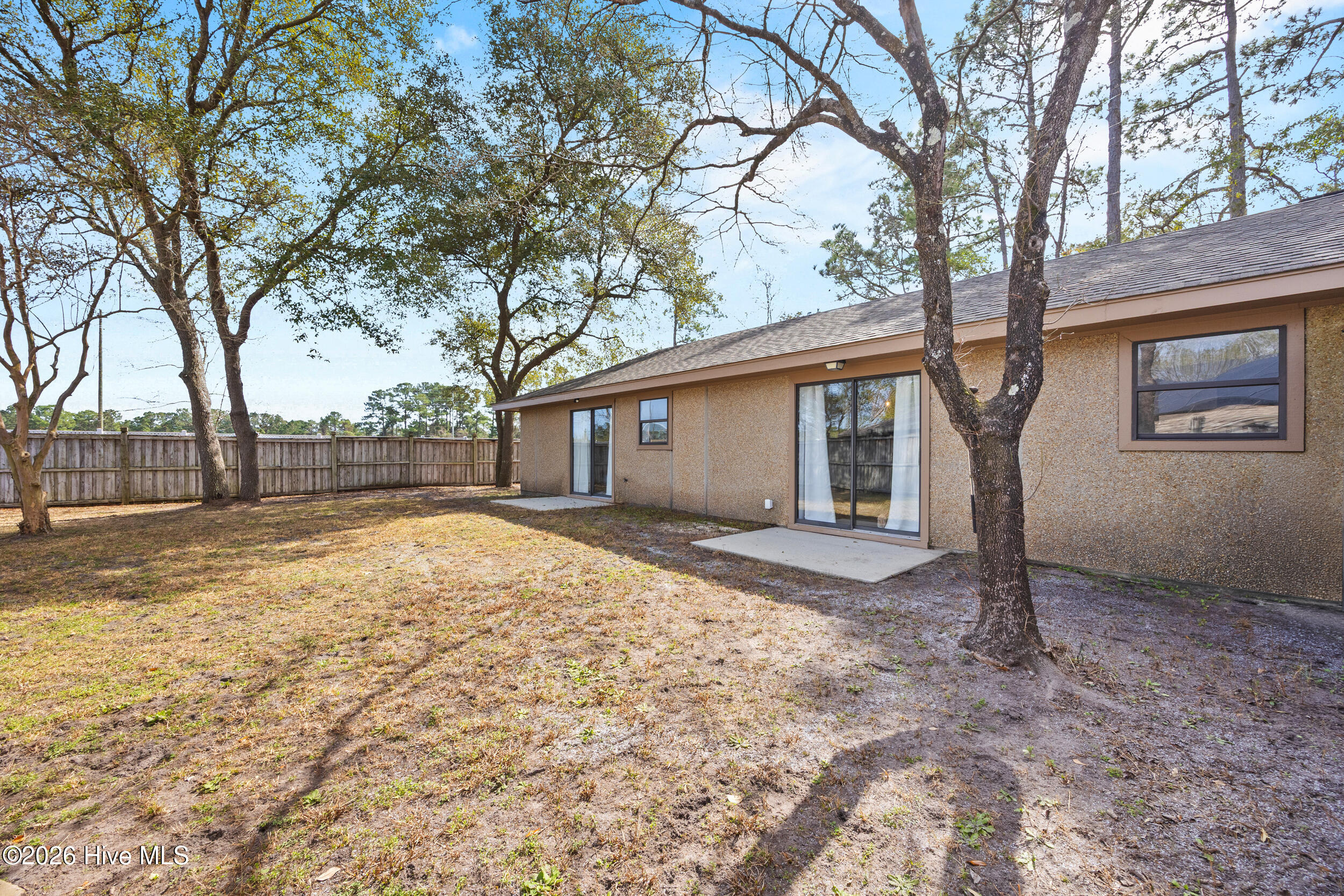 100558579 | Photo 32