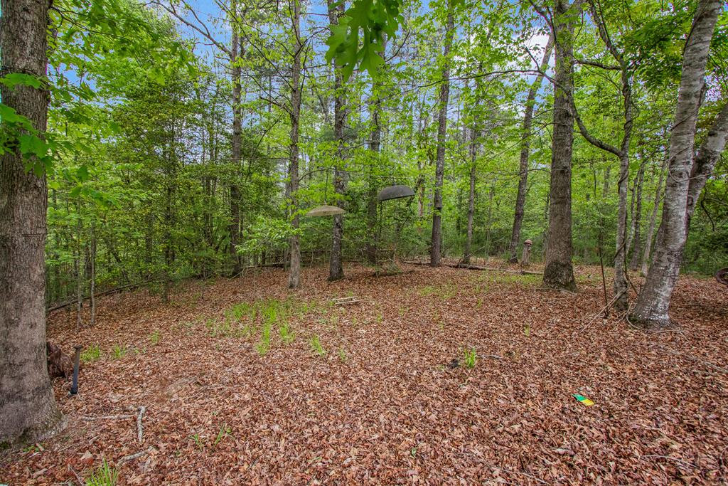 149 Sandy Lane, Murphy, NC 28906 Listing Photo  65