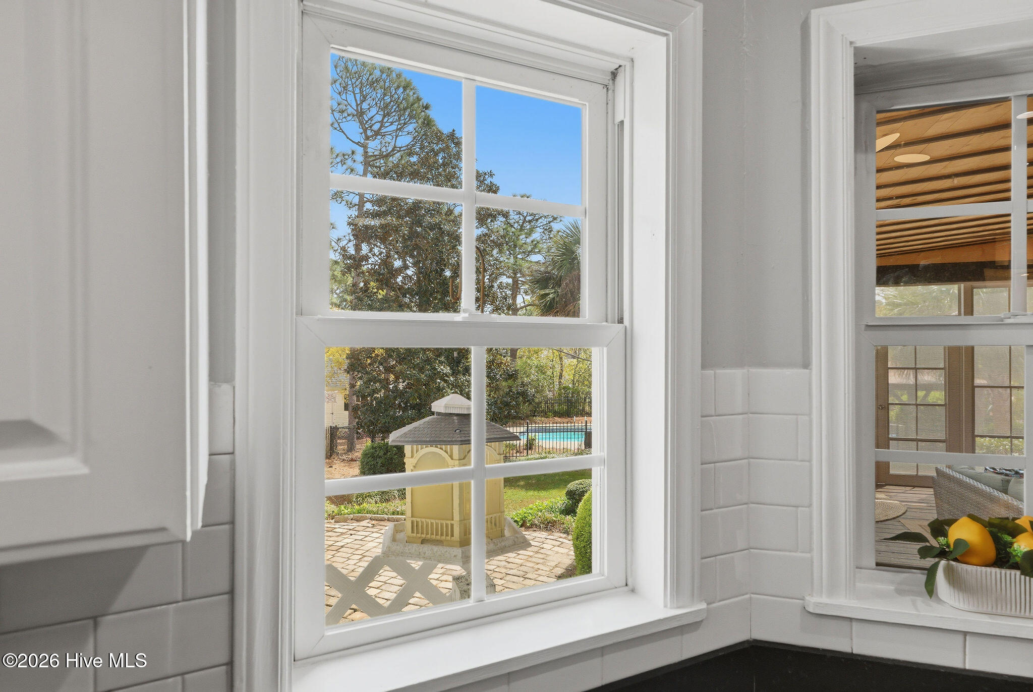 100565537 | Photo 40