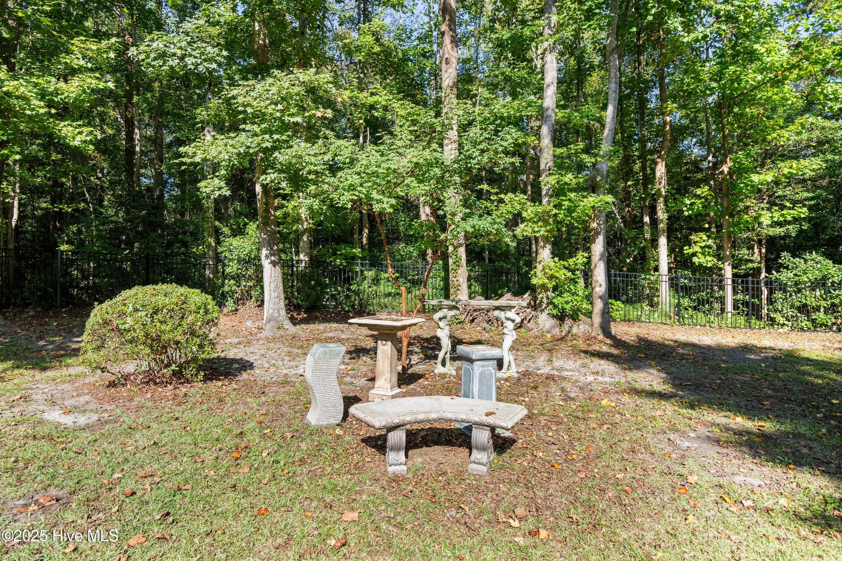 100537413 | Photo 47