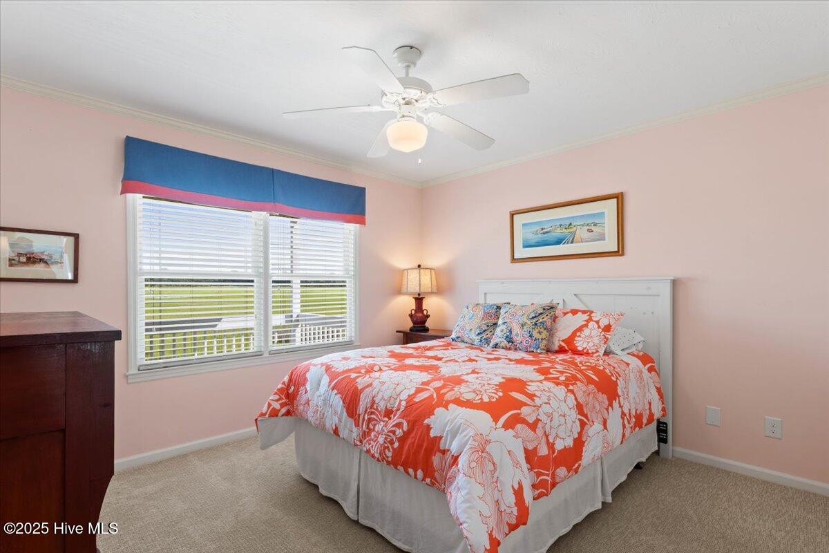 100548122 | Photo 27