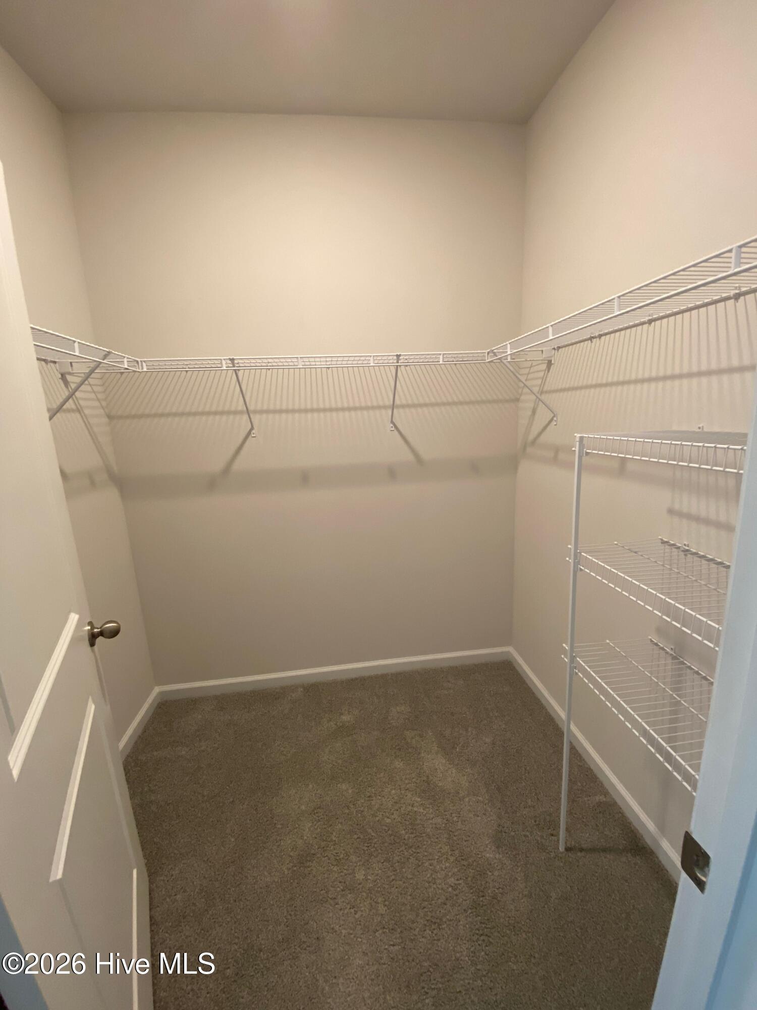 100553677 | Photo 21