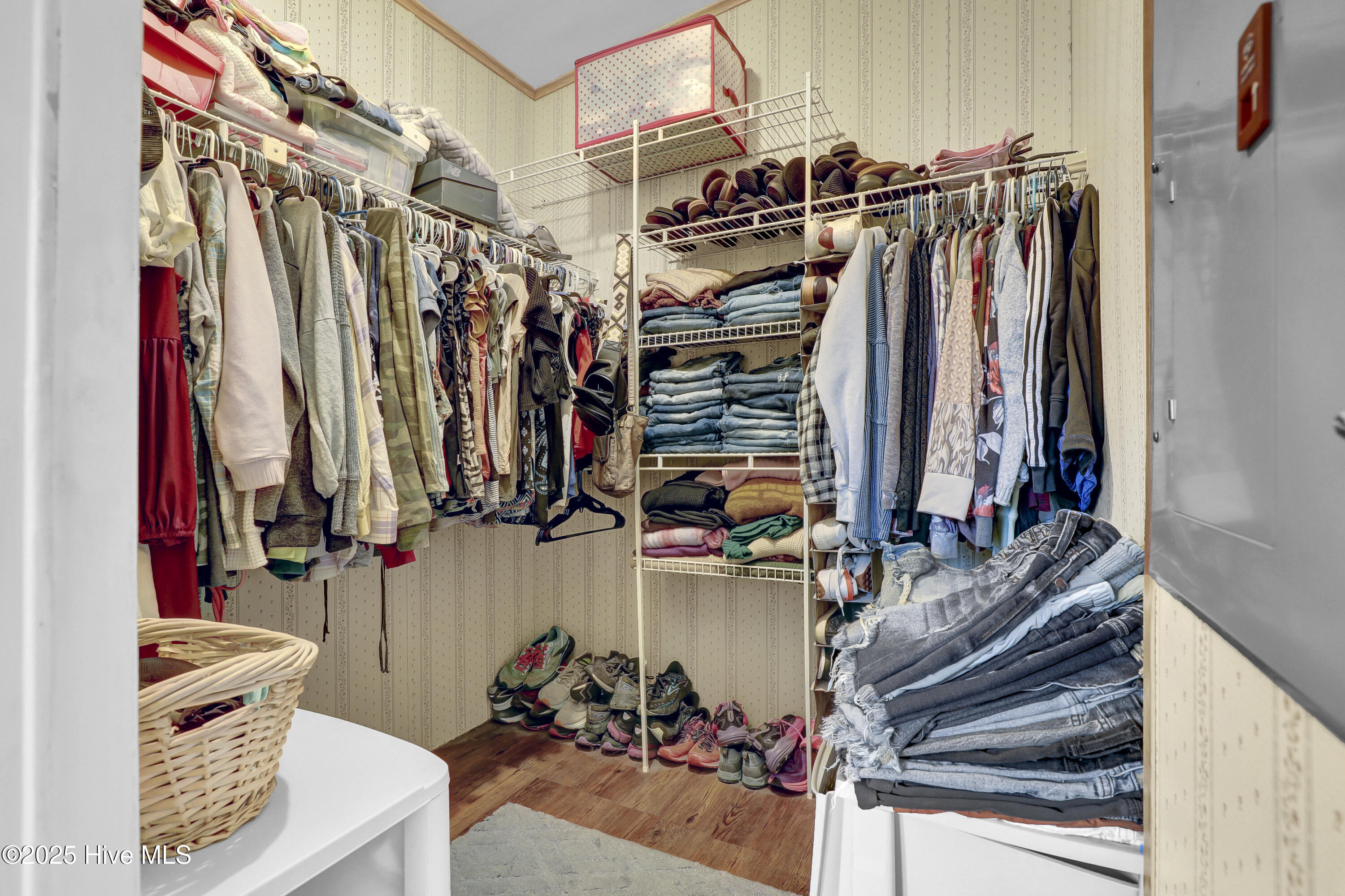 100523647 | Photo 16