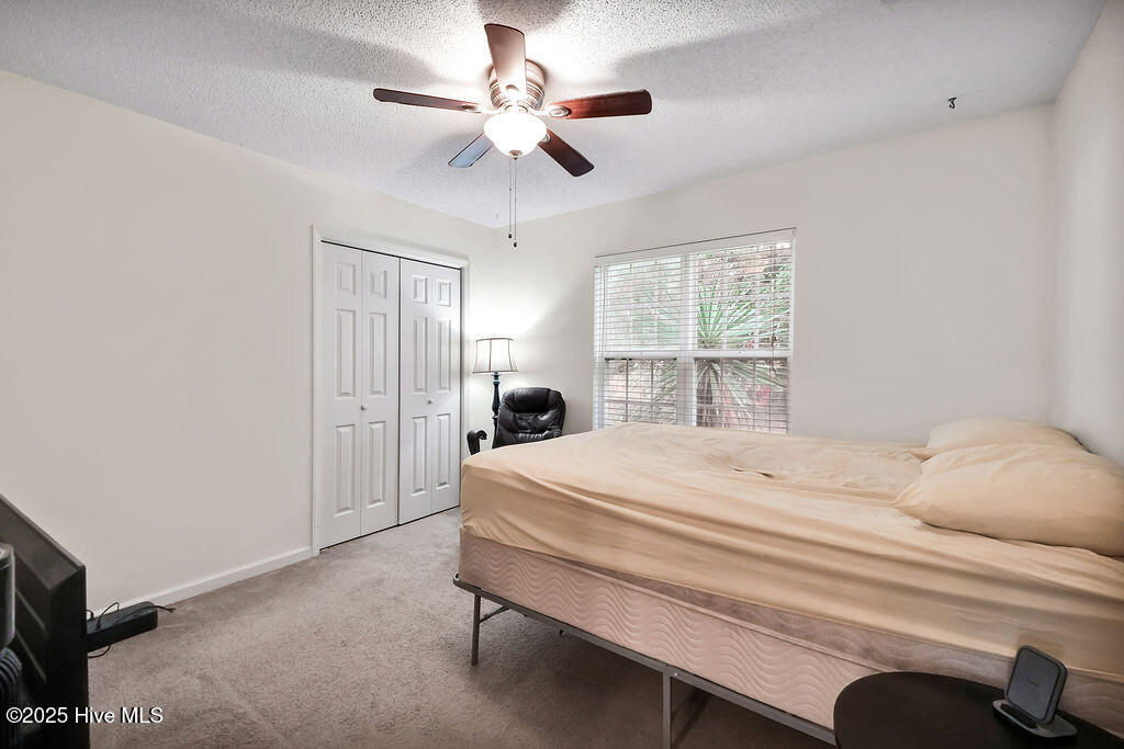 100536074 | Photo 14