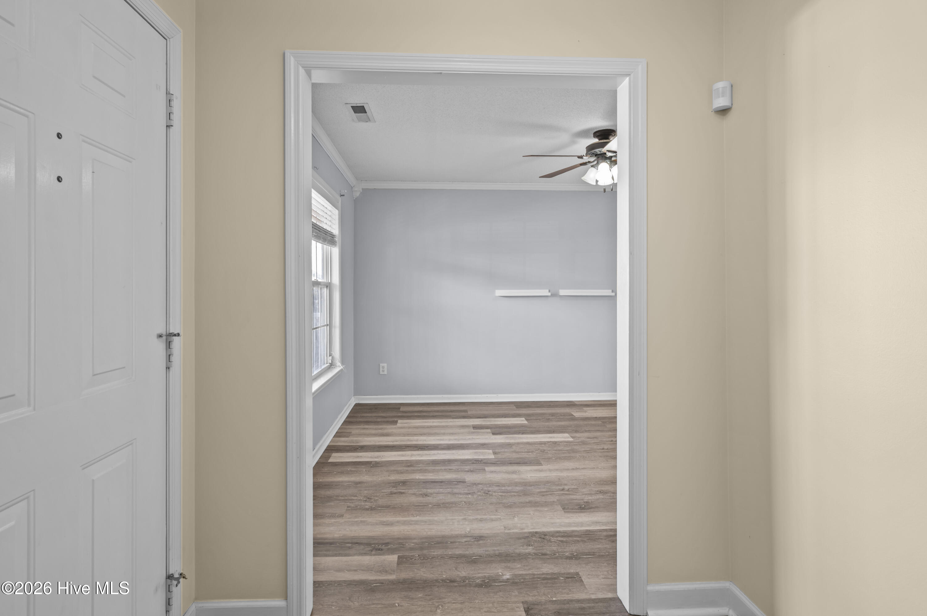 100541595 | Photo 11