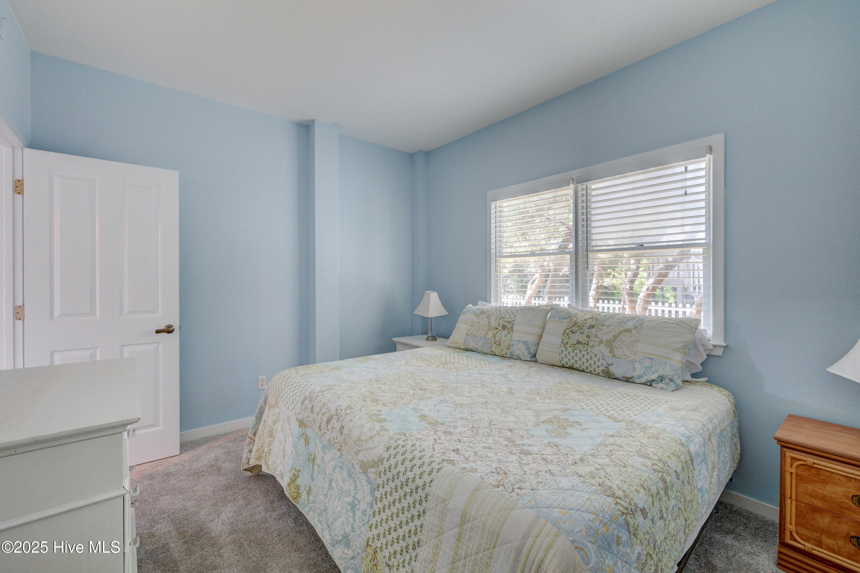 100515137 | Photo 40