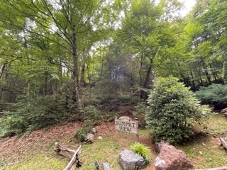 Homes for sale in Topton, NC | Lot 1 Summit View Dr, Topton, NC 28781 | MLS# 98525130