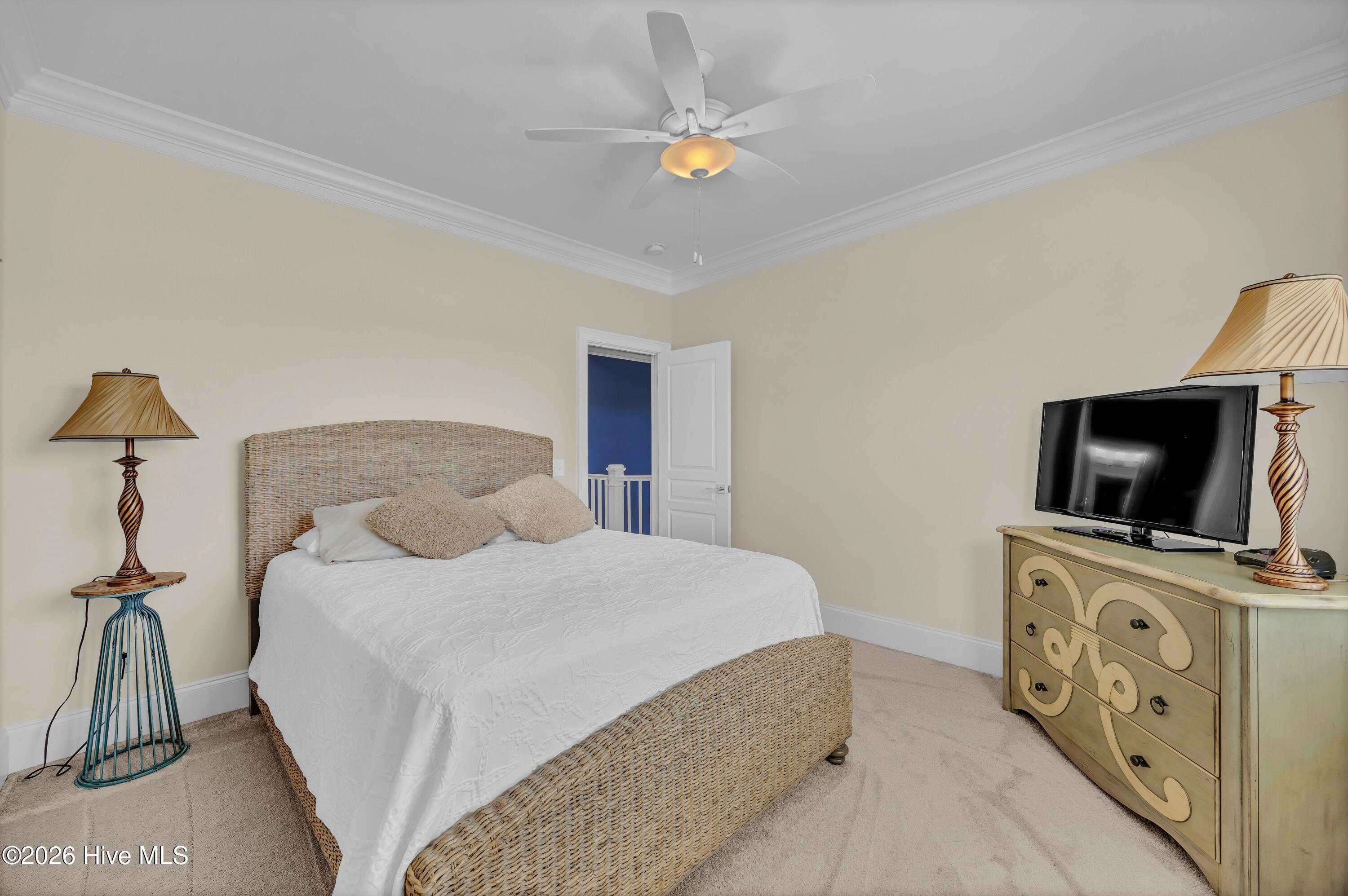 100569369 | Photo 46