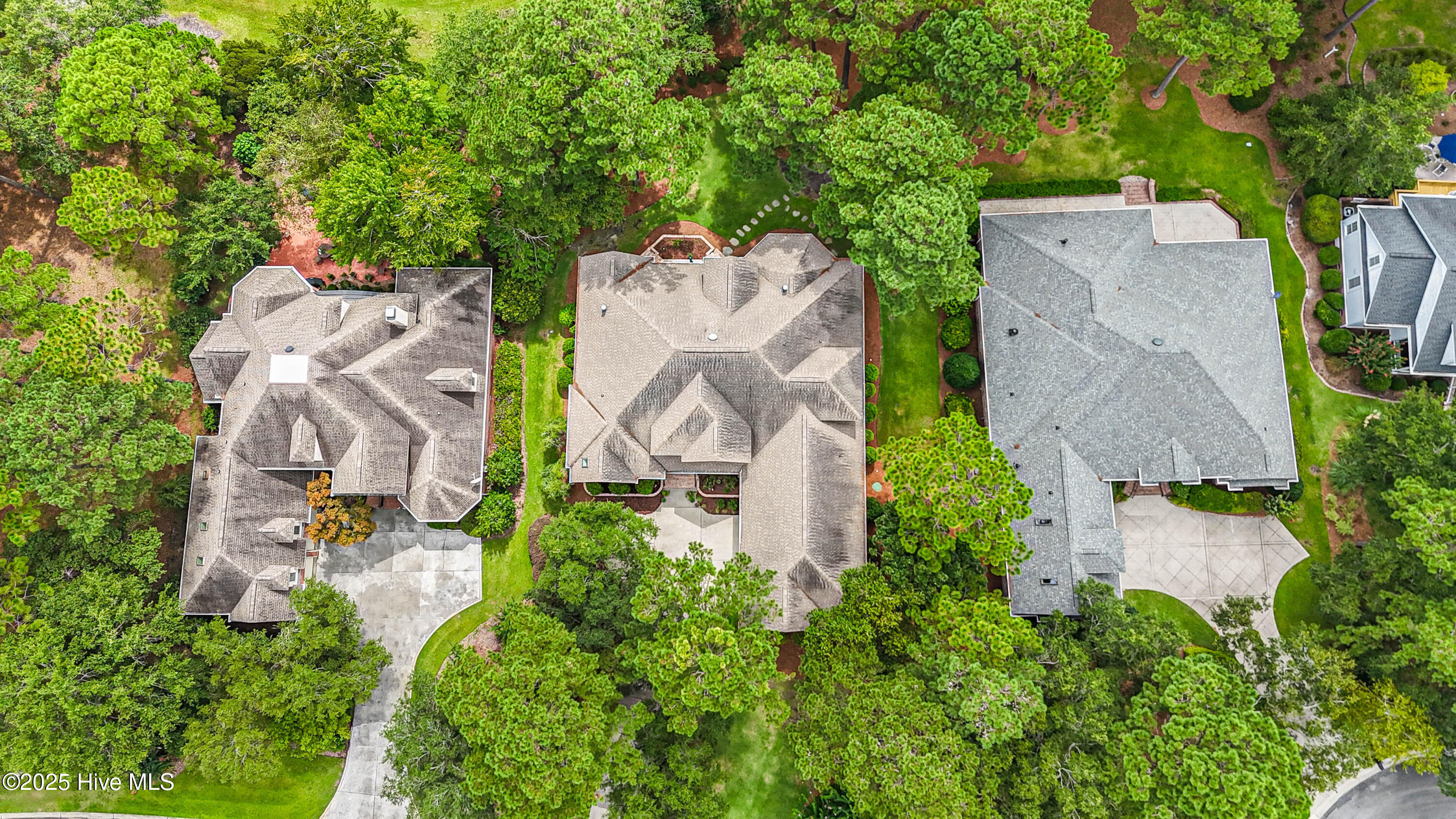 100549675 | Photo 64