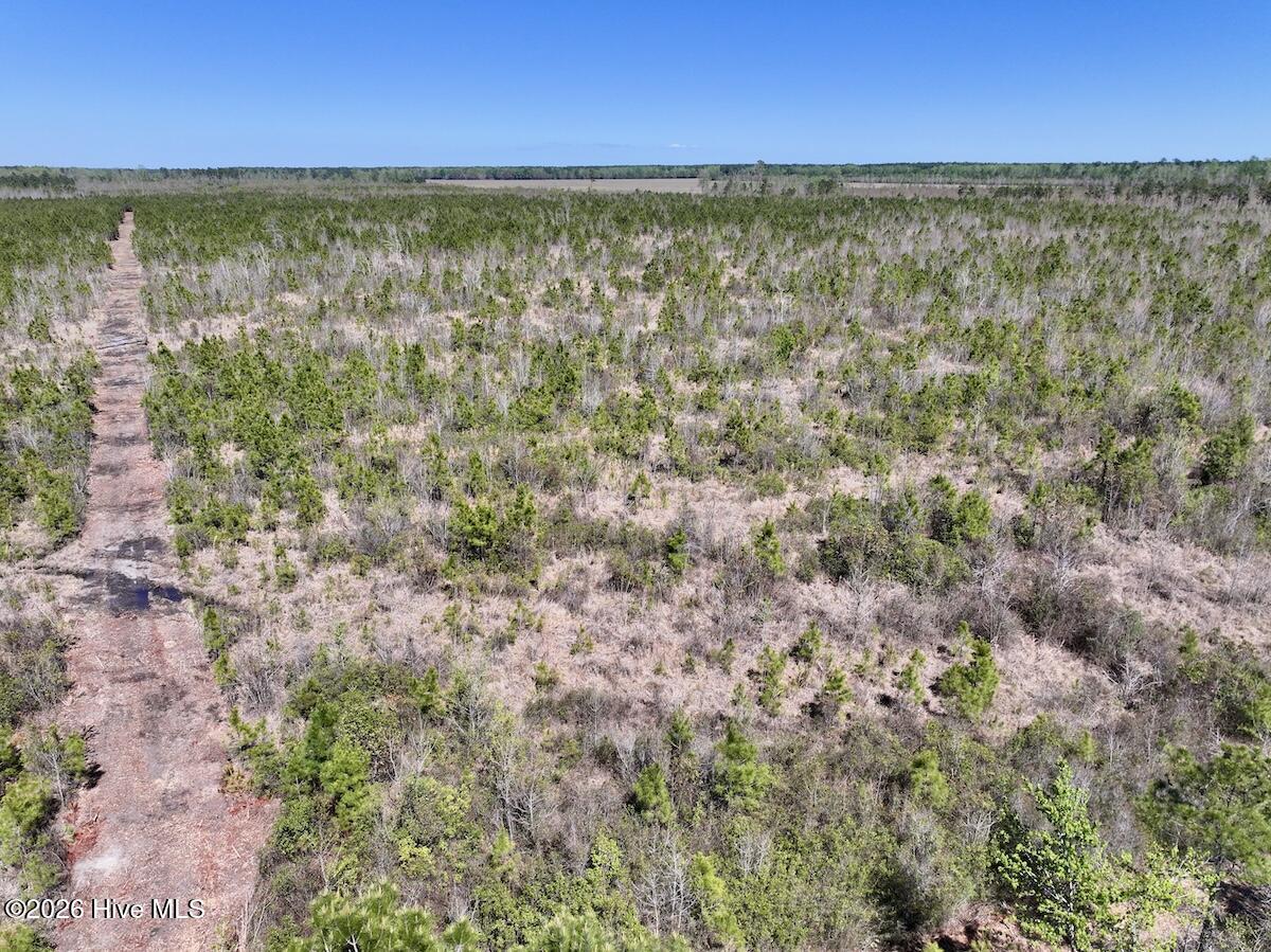 0 Guinea Mill Road, Ernul, NC, 28527