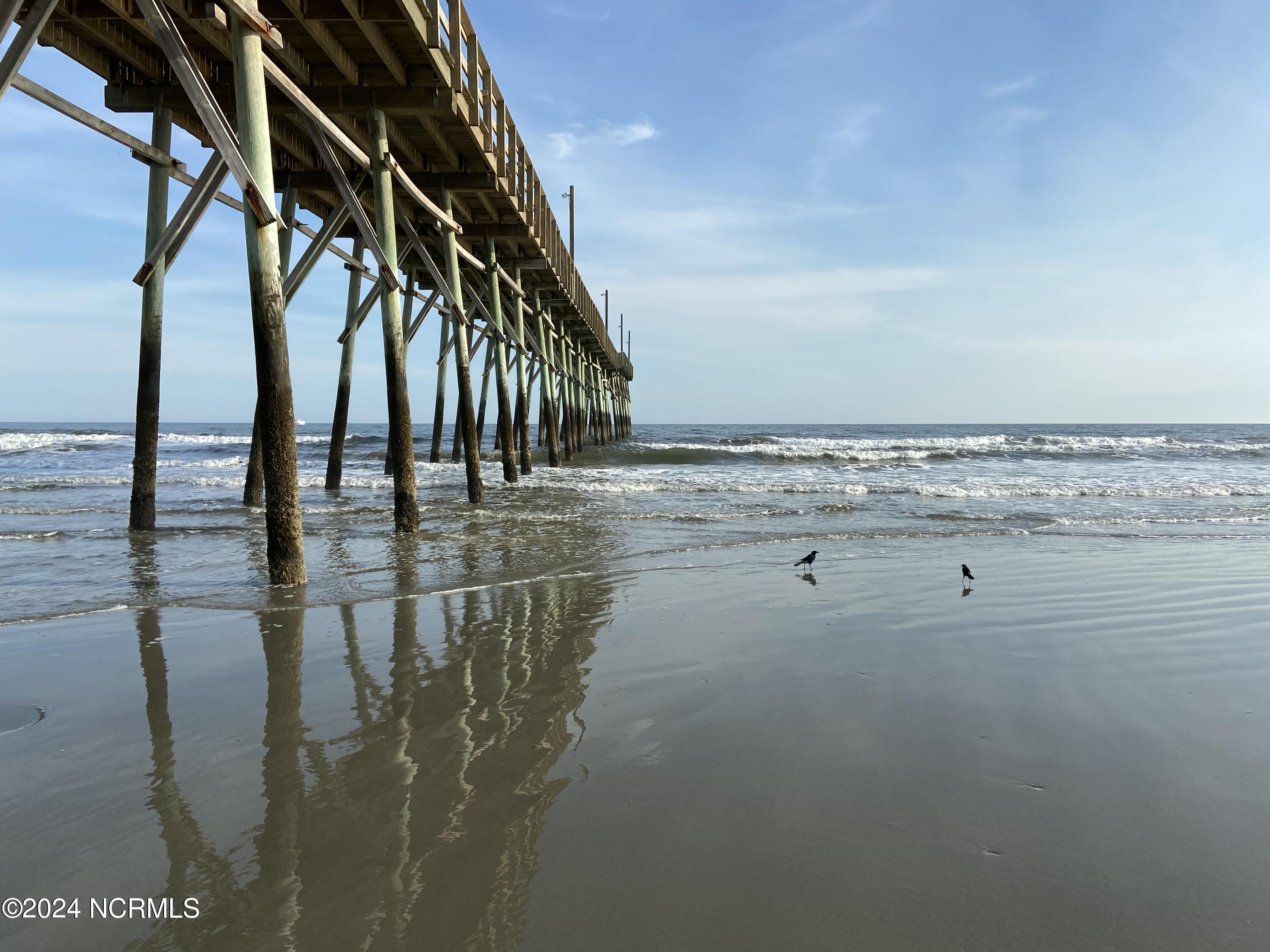 100513889 | Photo 51