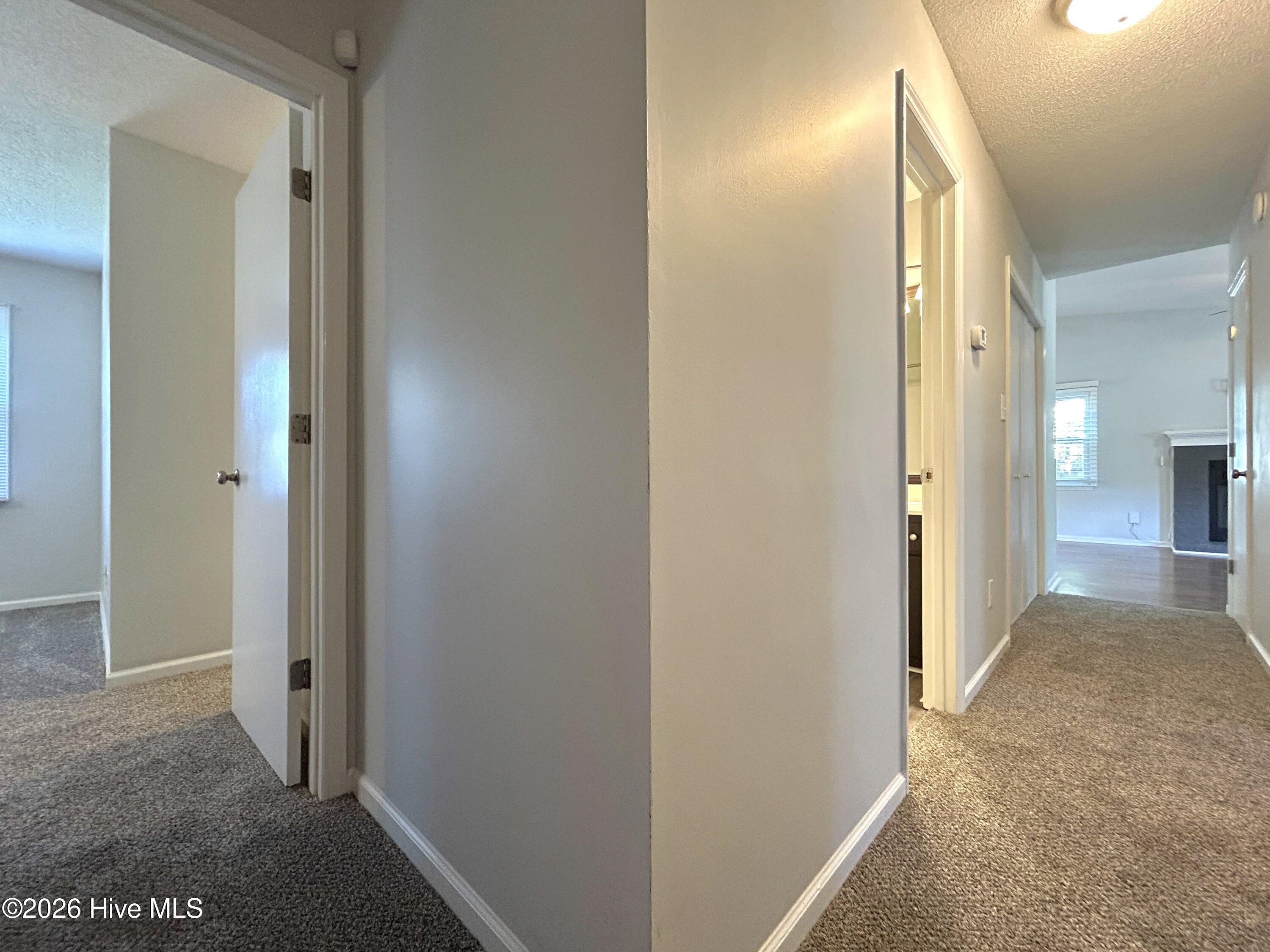 100563583 | Photo 29