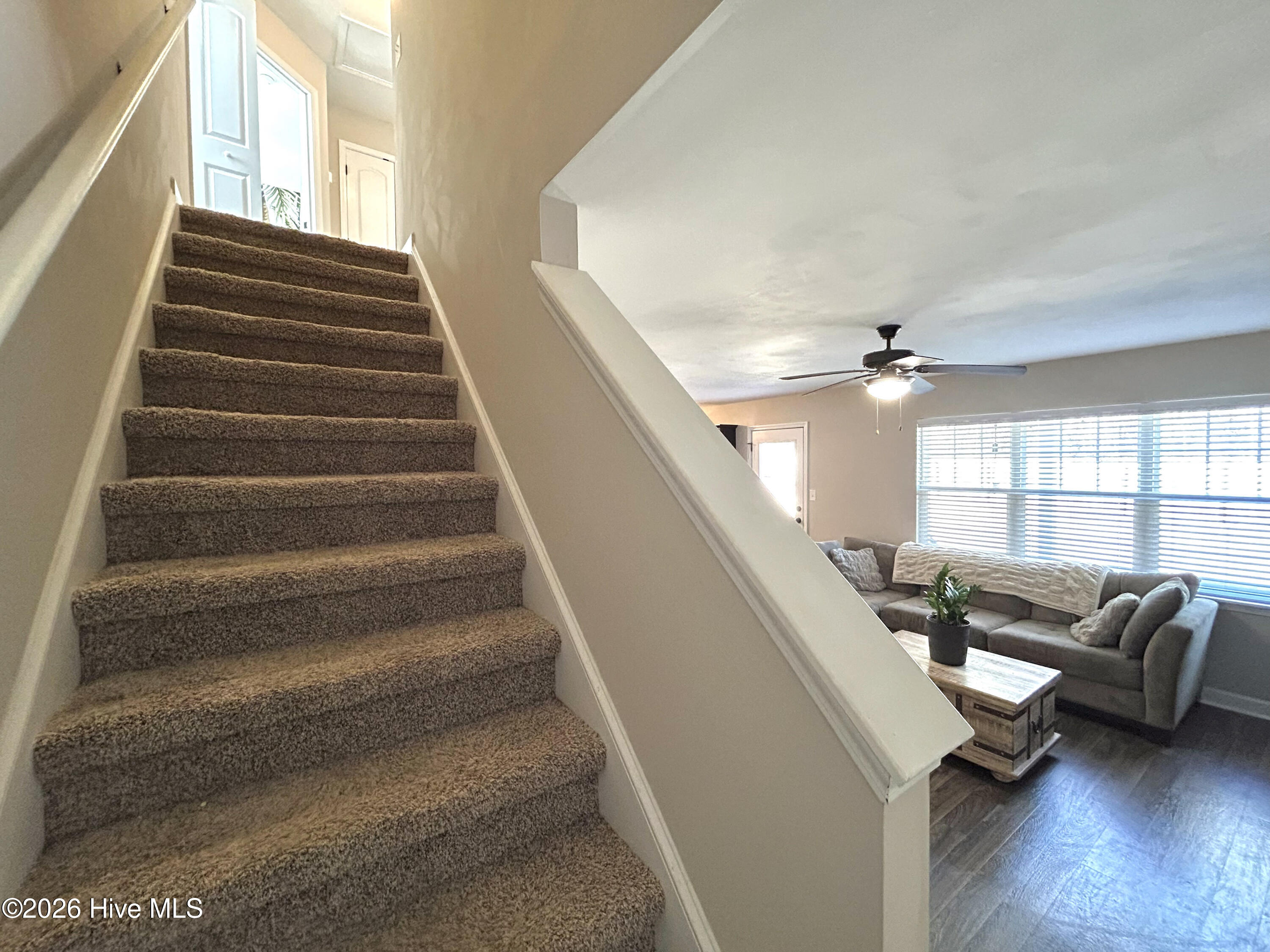 100557400 | Photo 21