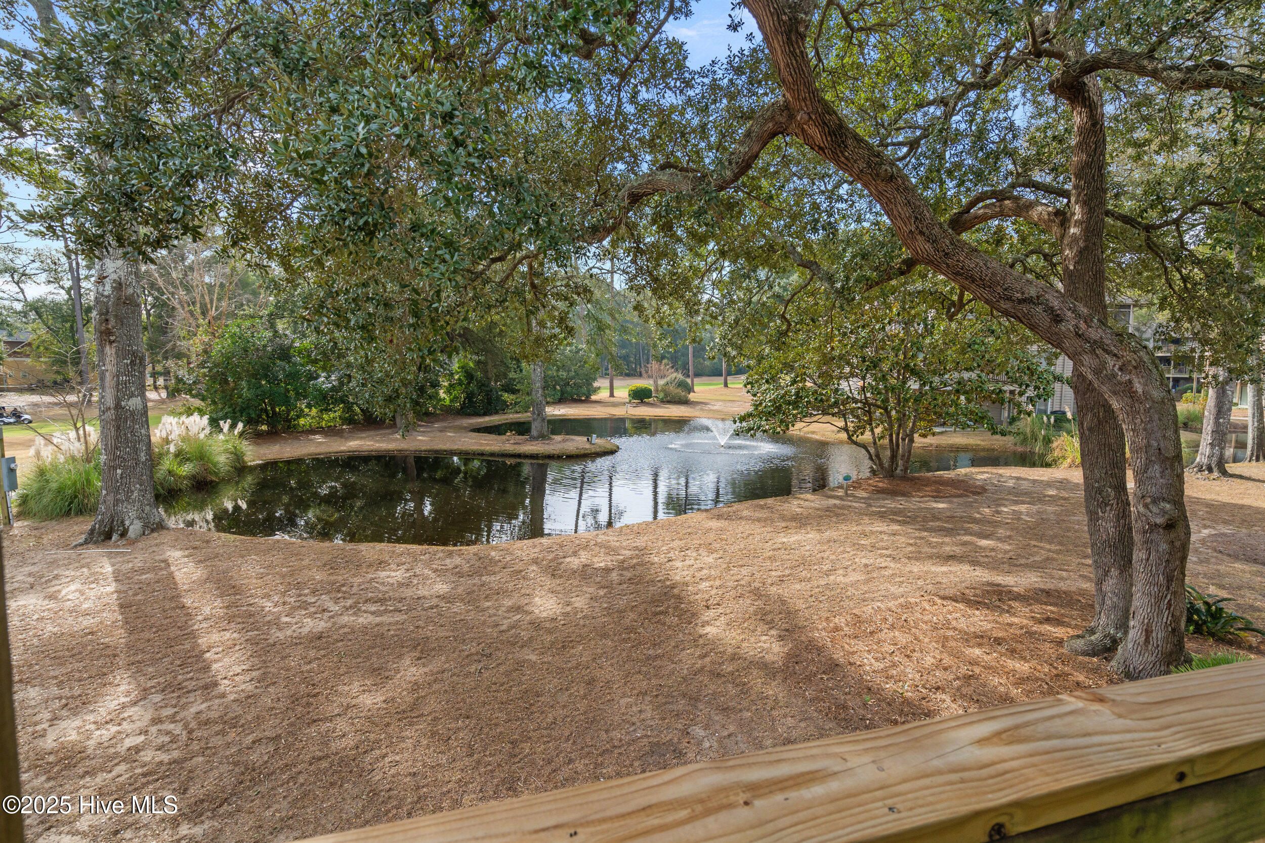 100546670 | Photo 27