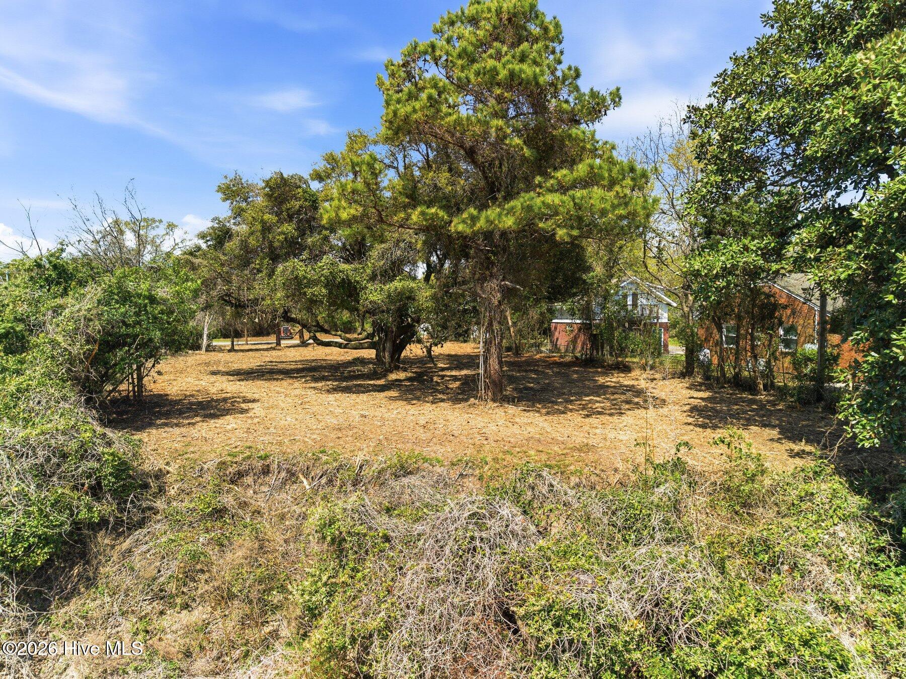 100564910 | Photo 11