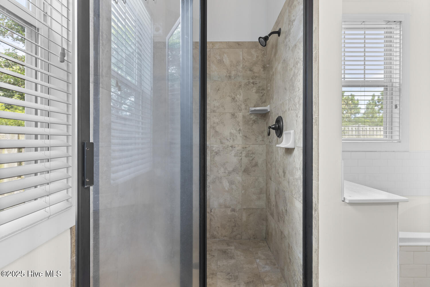 100507529 | Photo 30