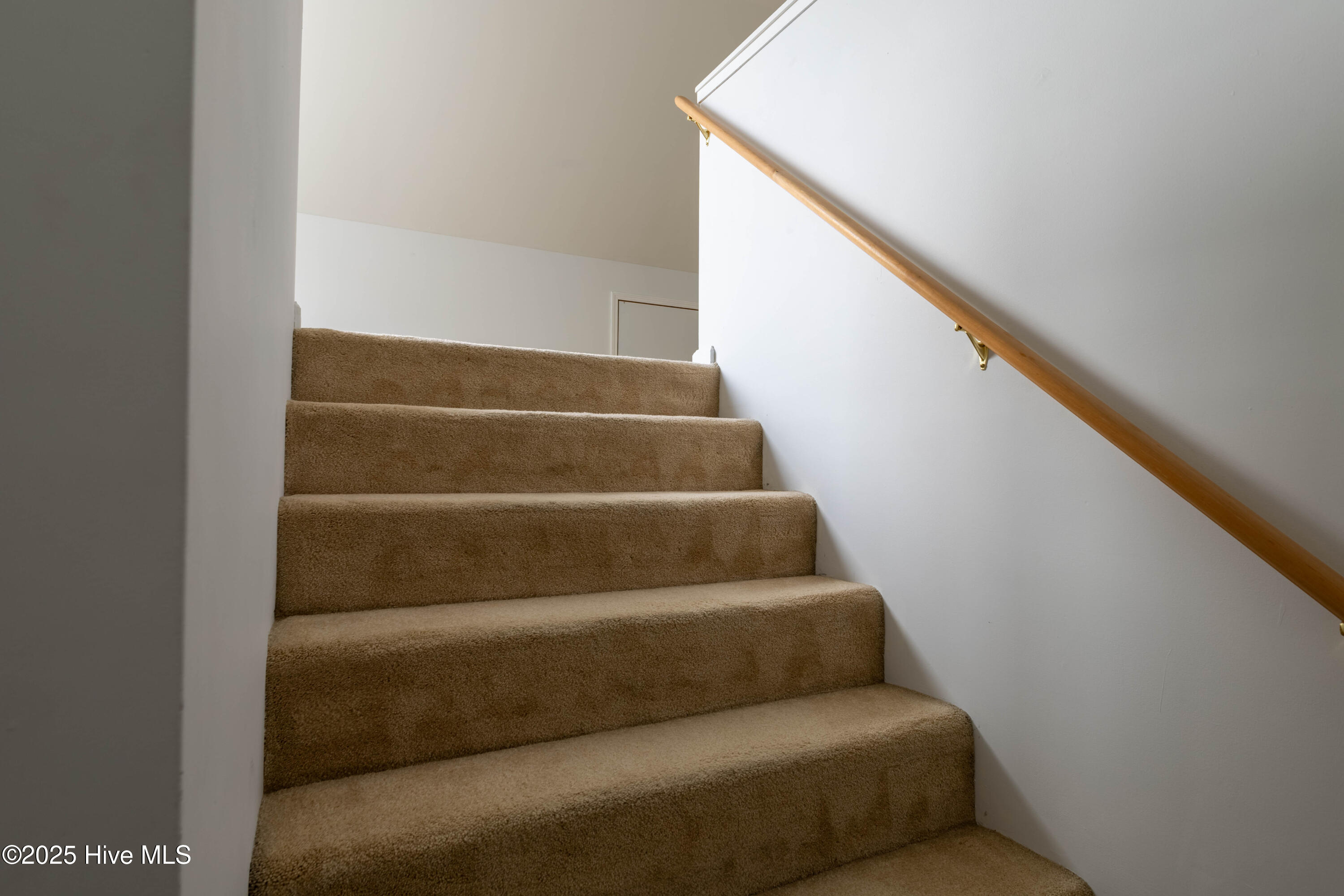 100534088 | Photo 34