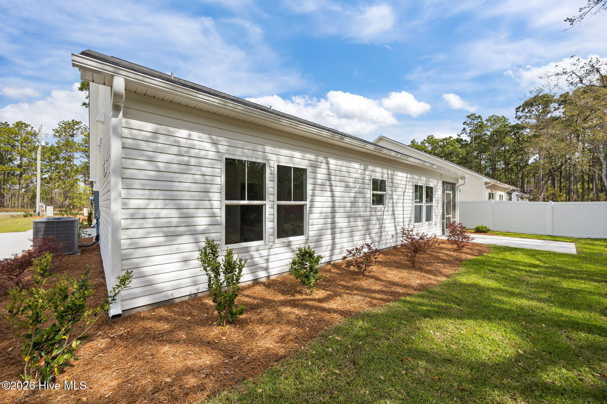 100553165 | Photo 37