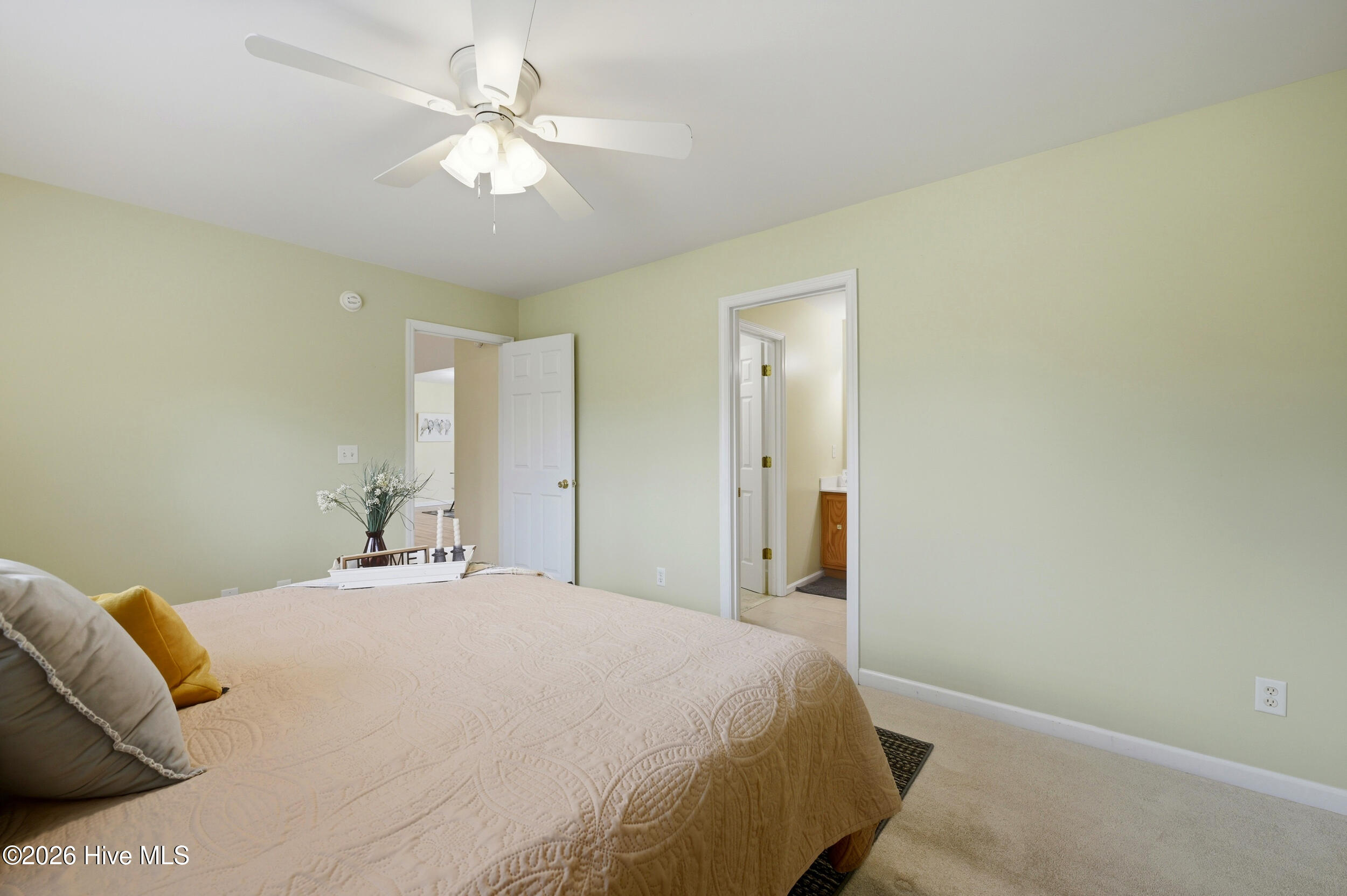 100562256 | Photo 19