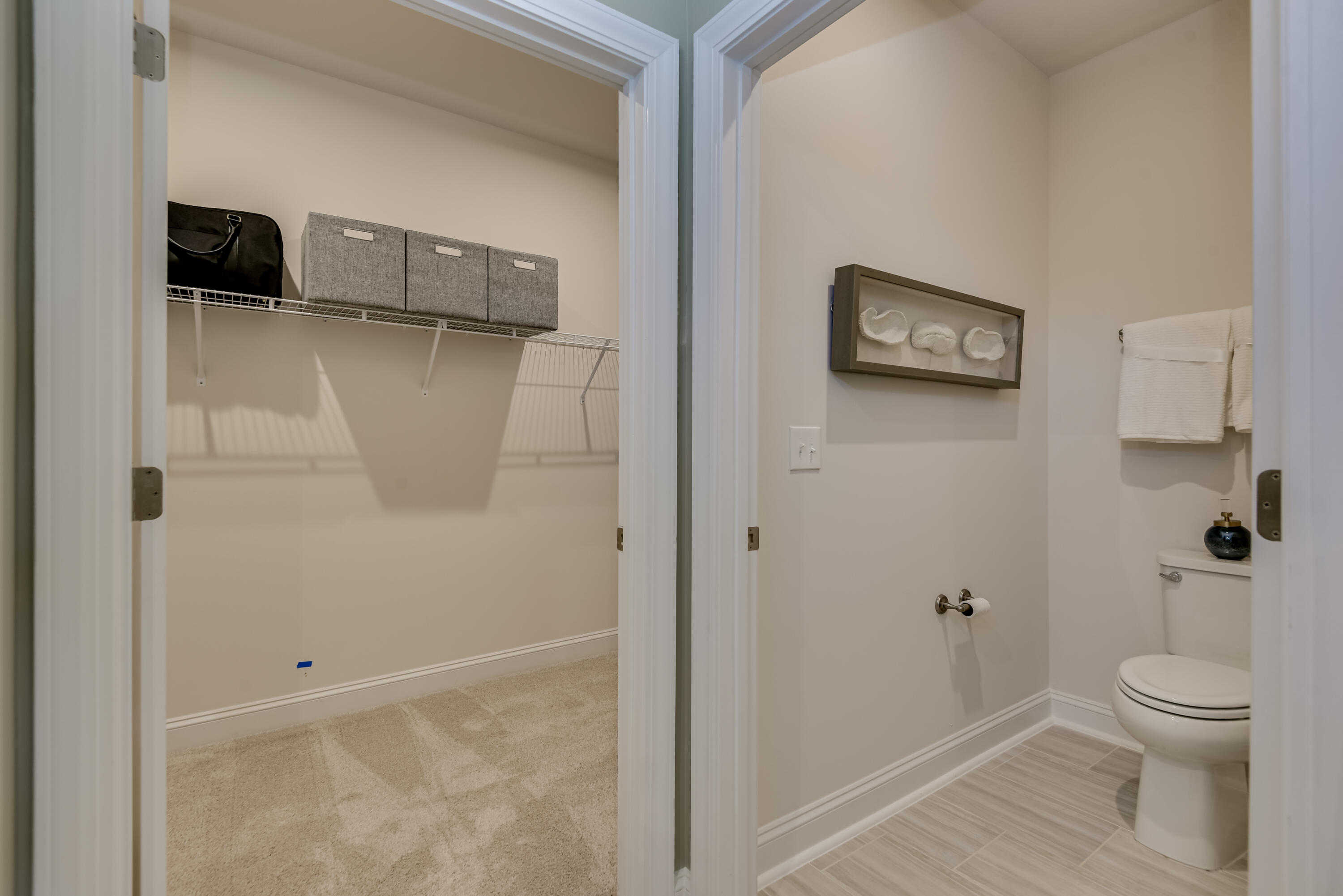 Primary Closet