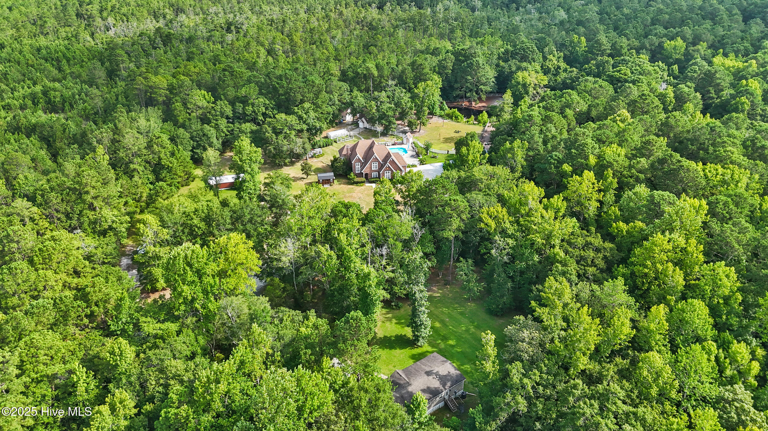 100517619 | Photo 101