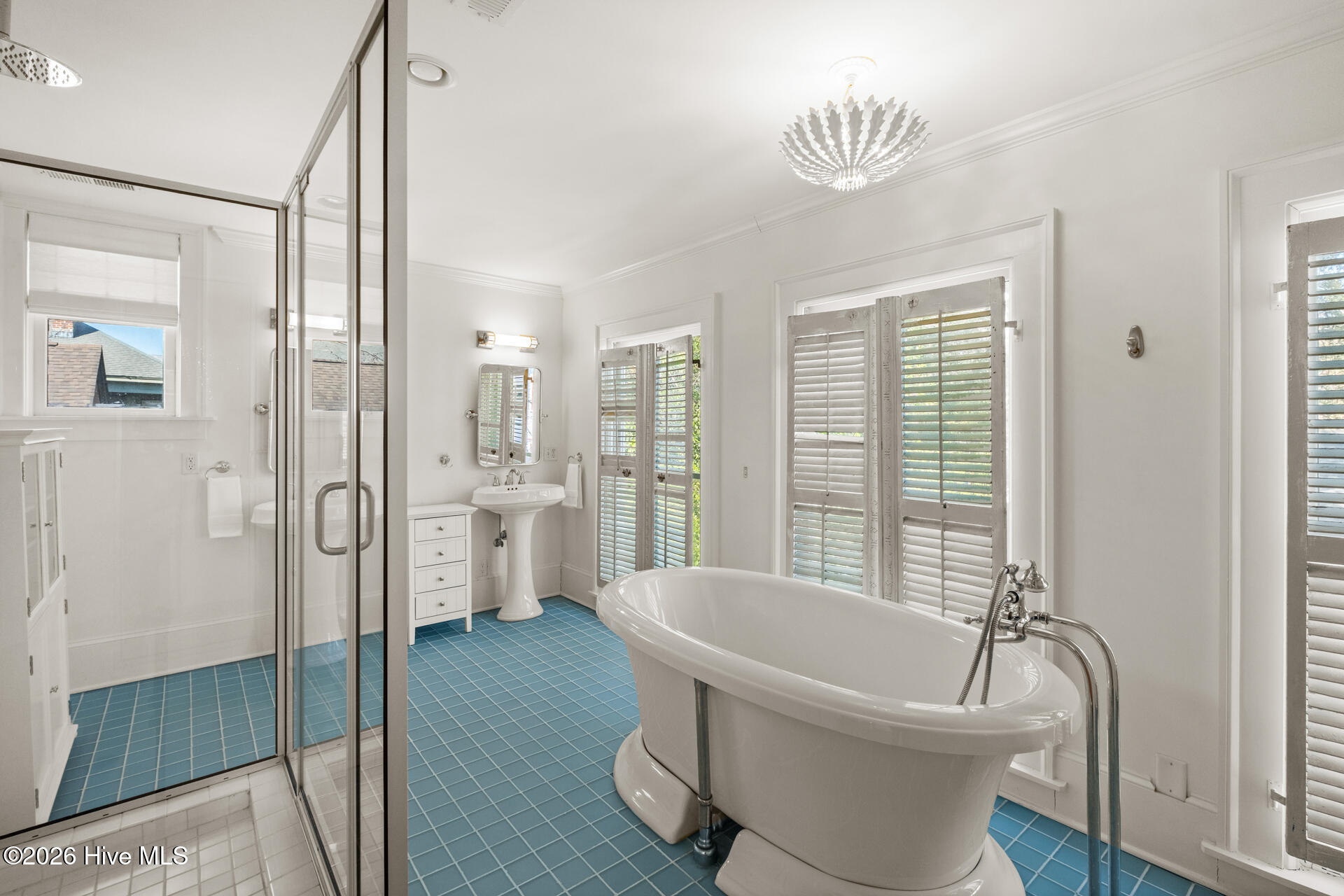 100556093 | Photo 32