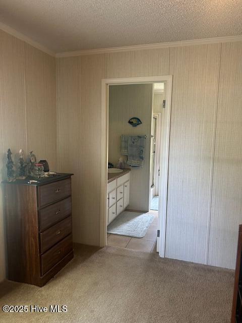 100510176 | Photo 11