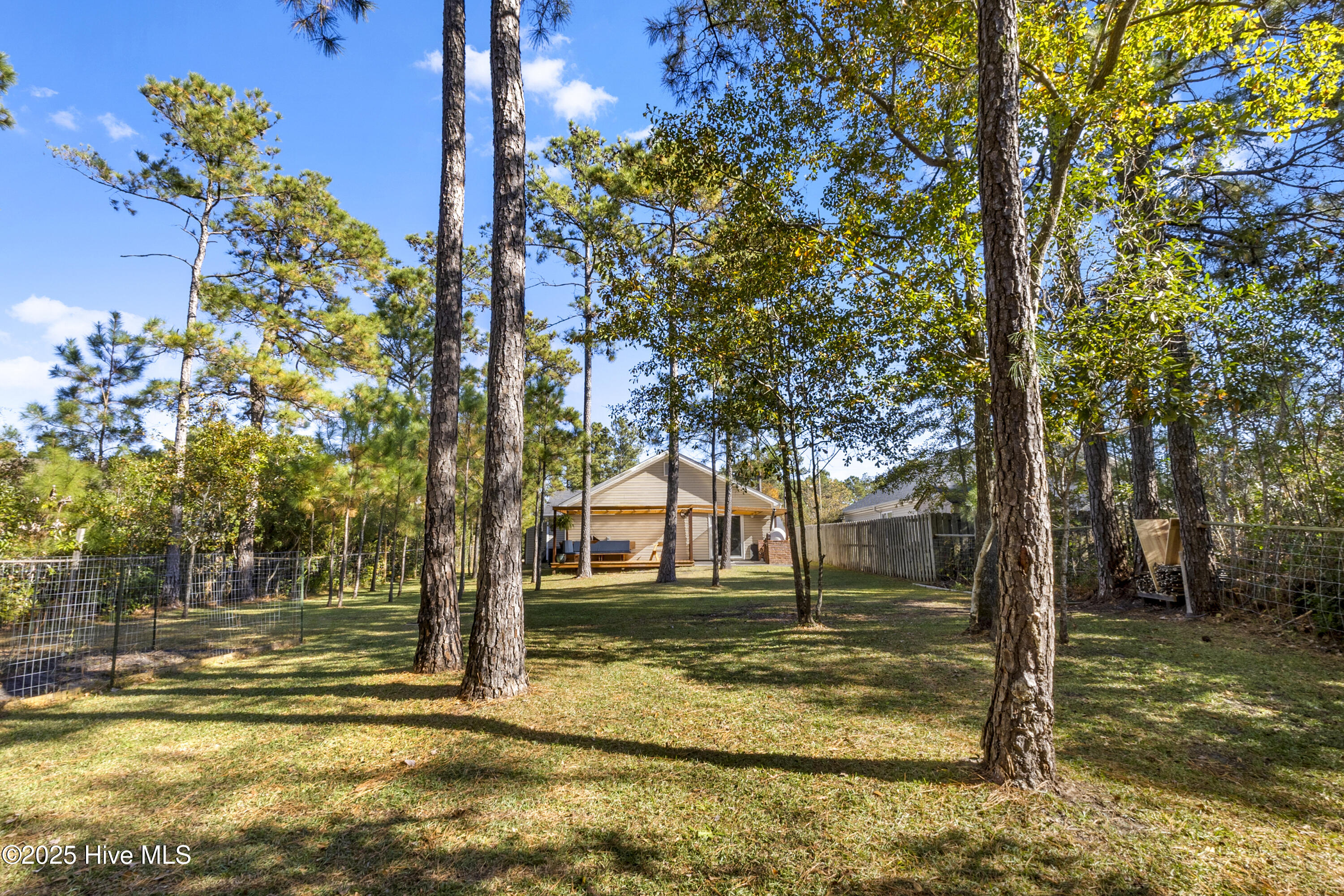 100544025 | Photo 34