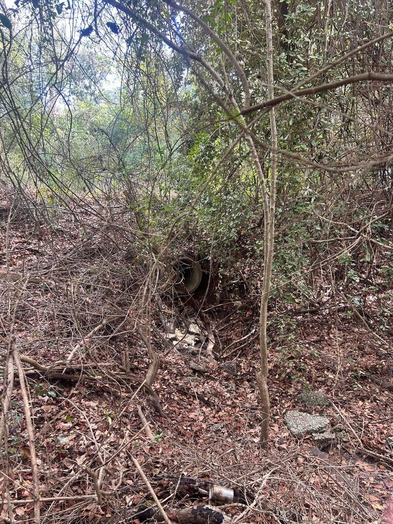 Homes for sale in New Ellenton, SC | 0 Robinson Dr, New Ellenton, SC 29809 | MLS# 551334