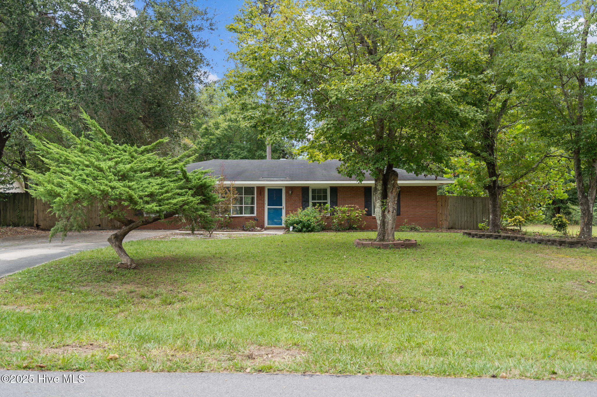 100531423 | Photo 43