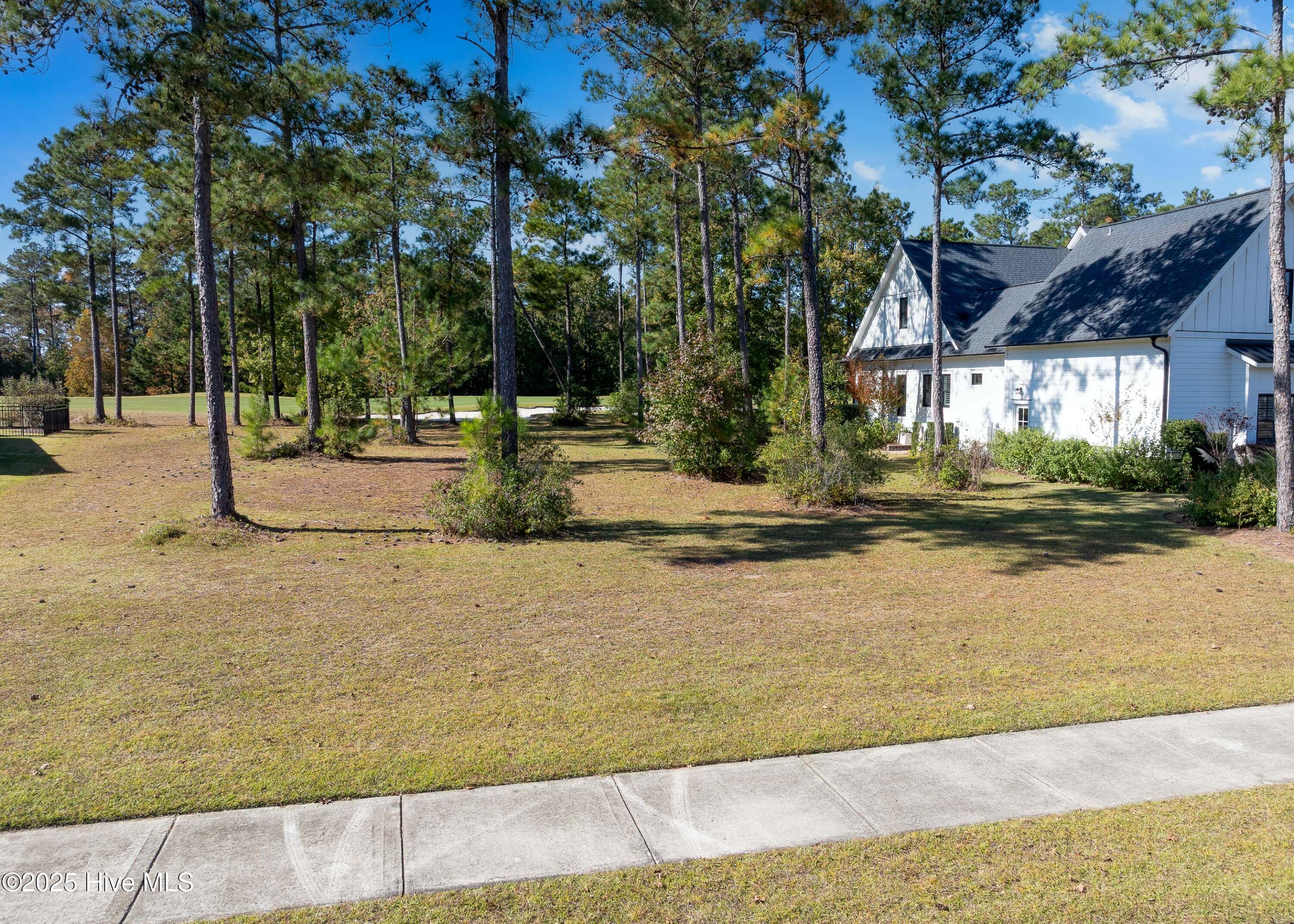 100539491 | Photo 22