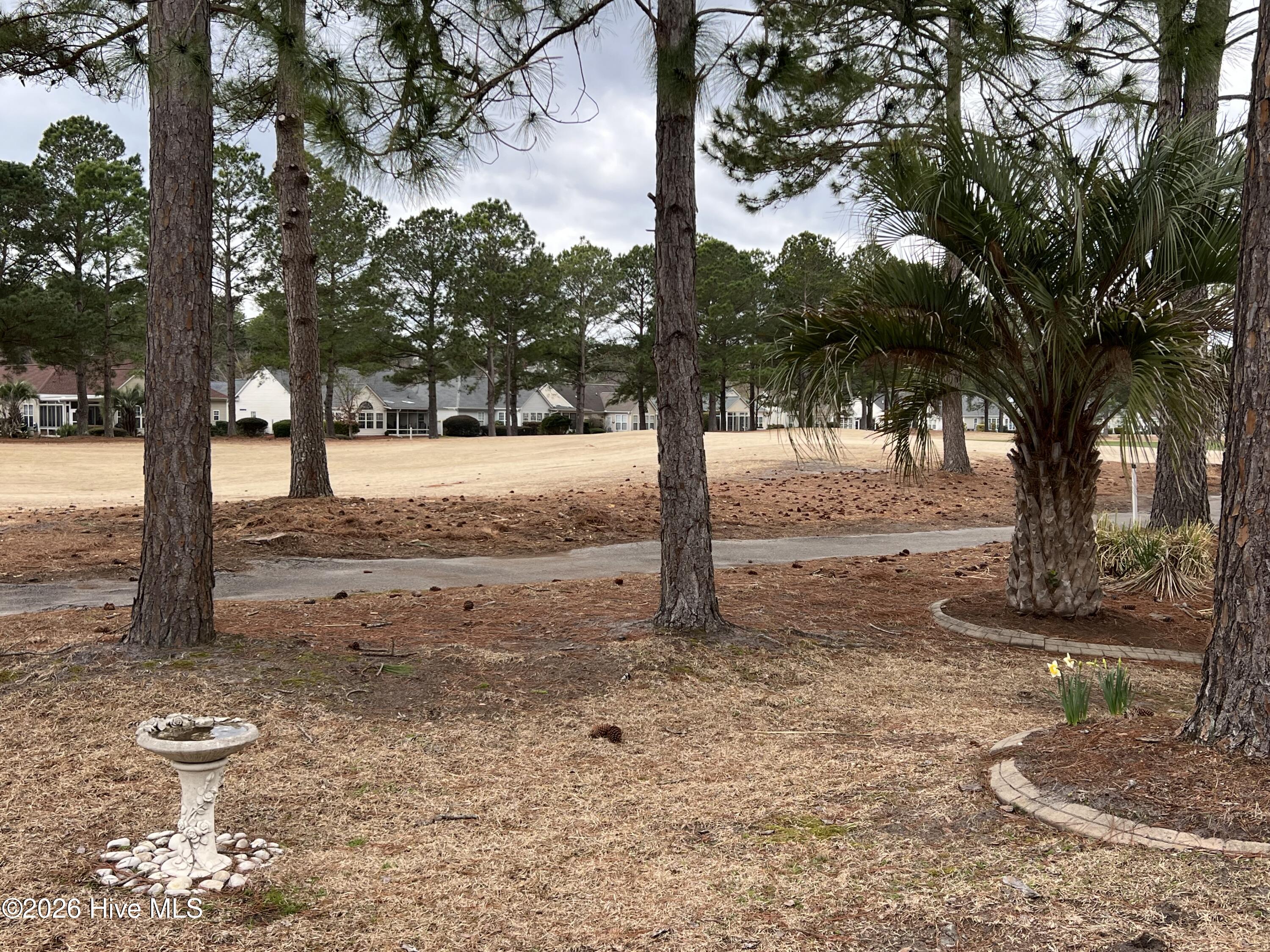 100555896 | Photo 59