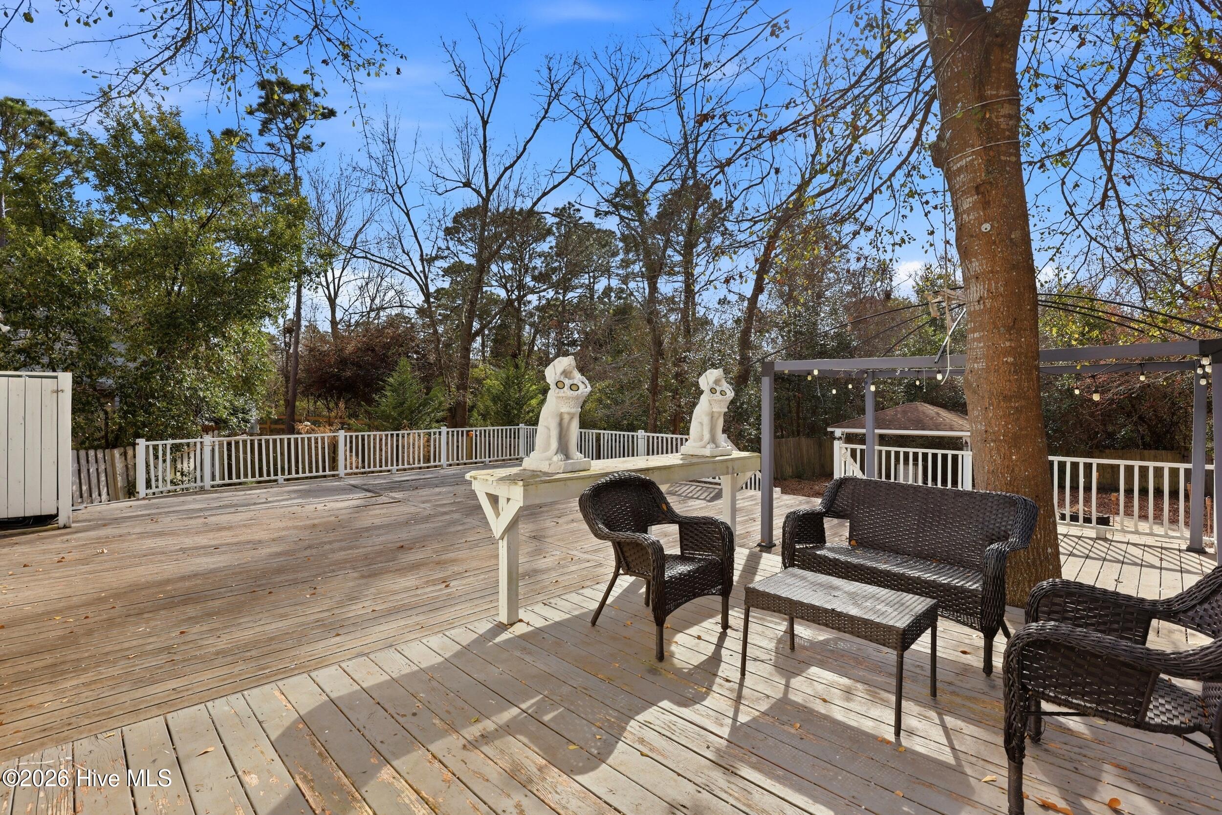 100558616 | Photo 26