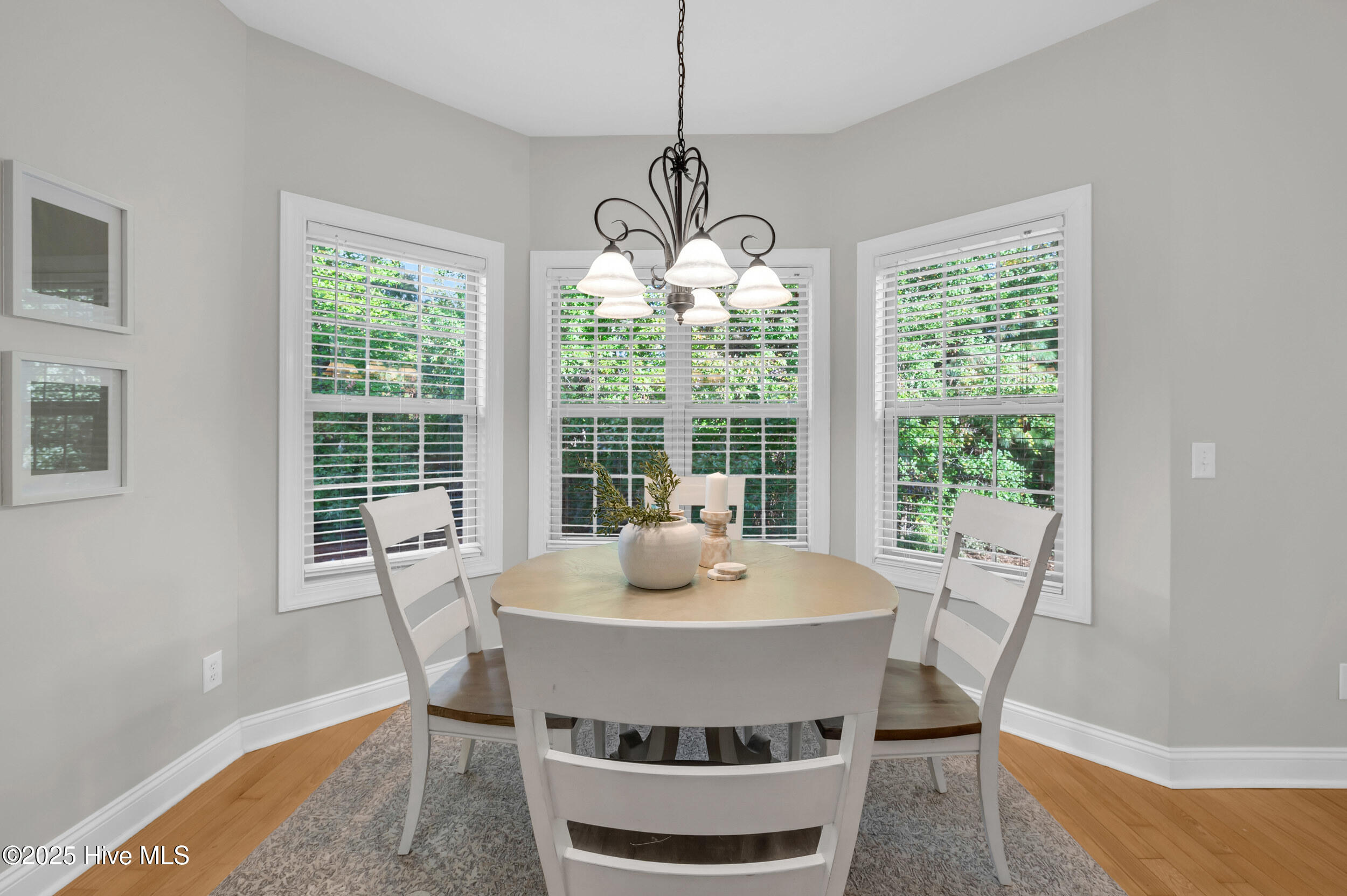 100539518 | Photo 21