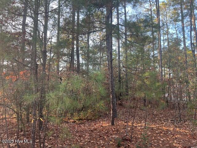 Homes for sale in Aberdeen, NC | 00 Mckenzie Ln, Aberdeen, NC 28315 | MLS# 100542141