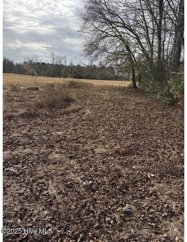 100532071 | Photo 19