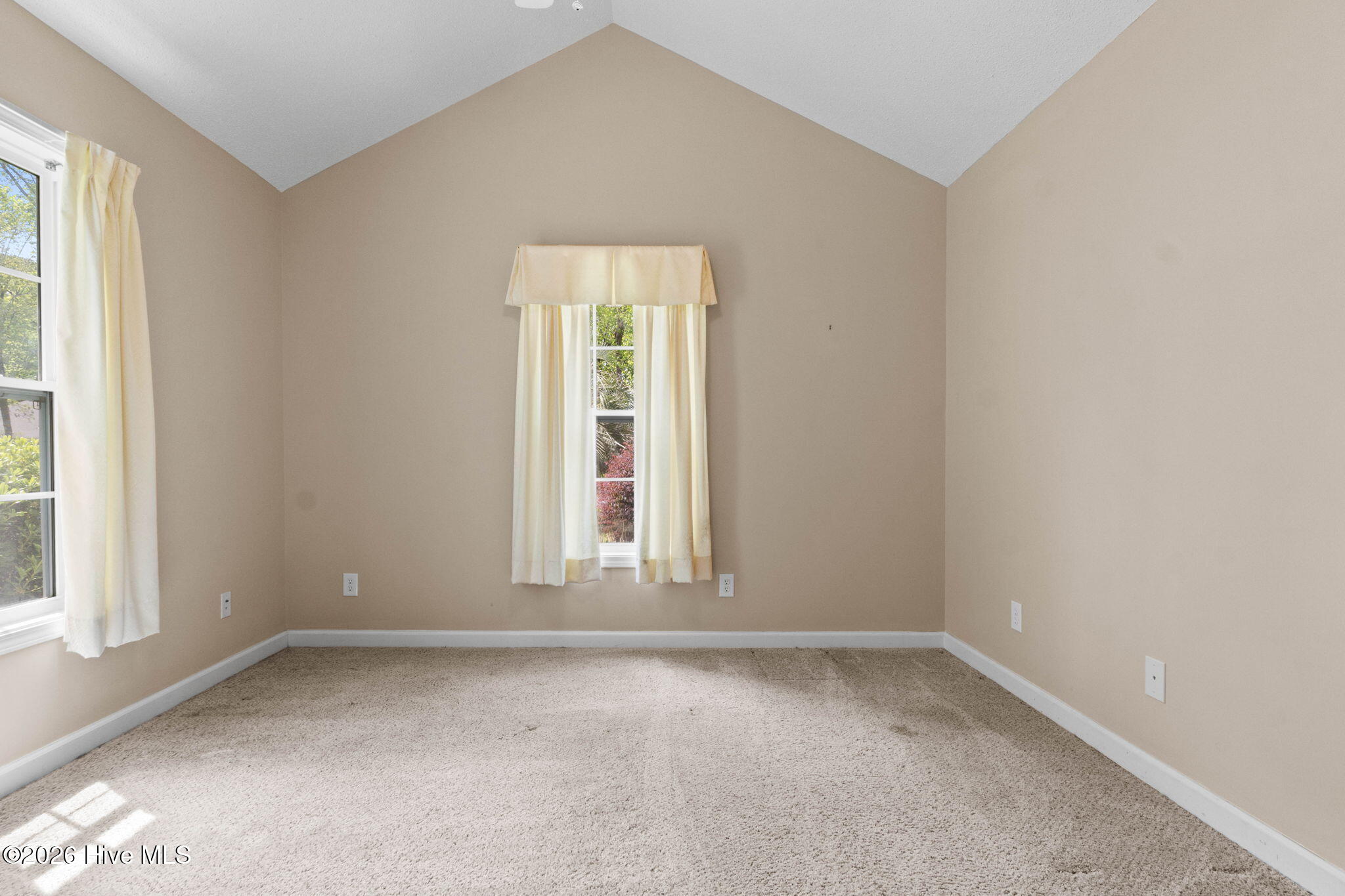 100566520 | Photo 22