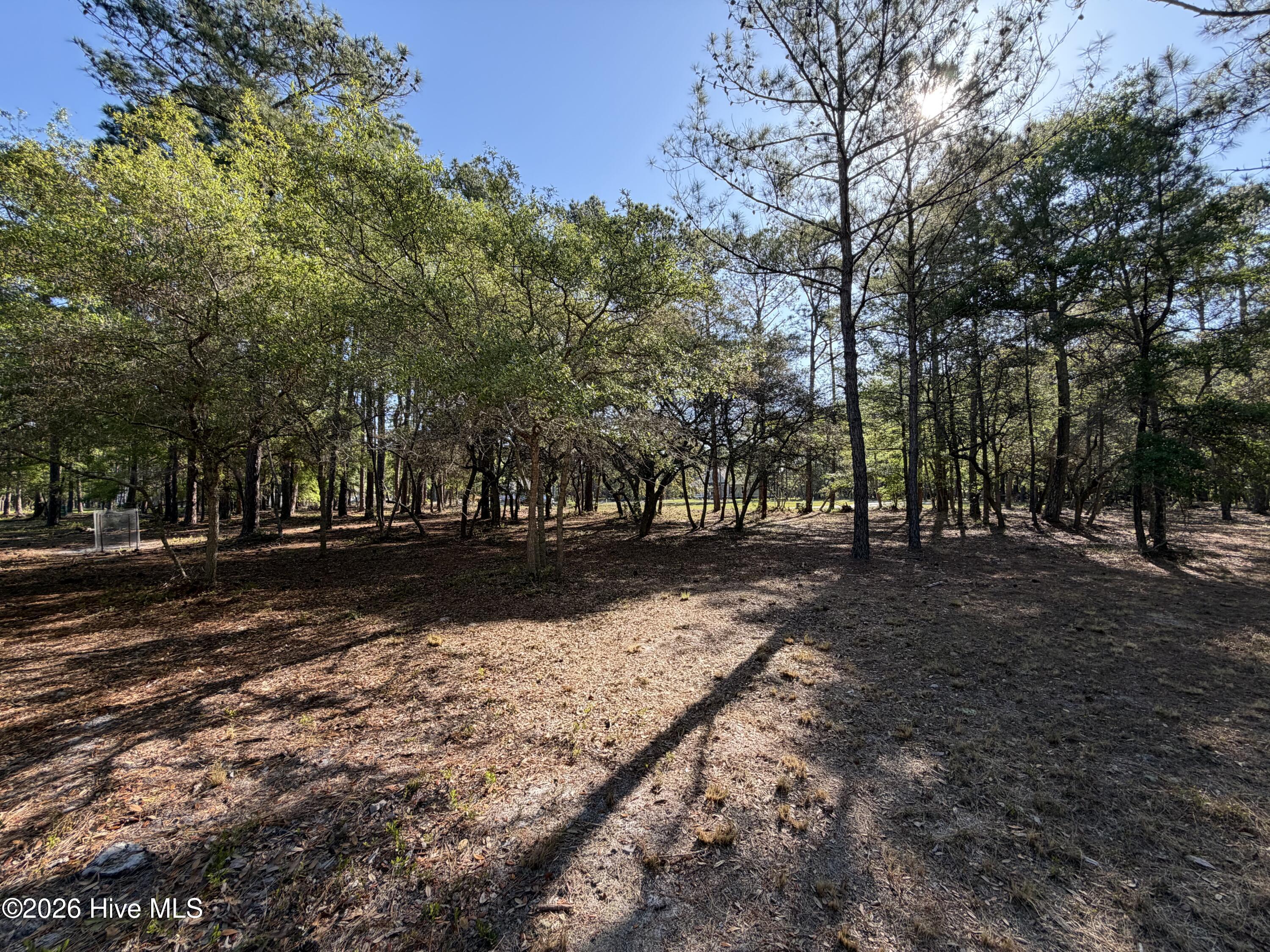 100569974 | Photo 25