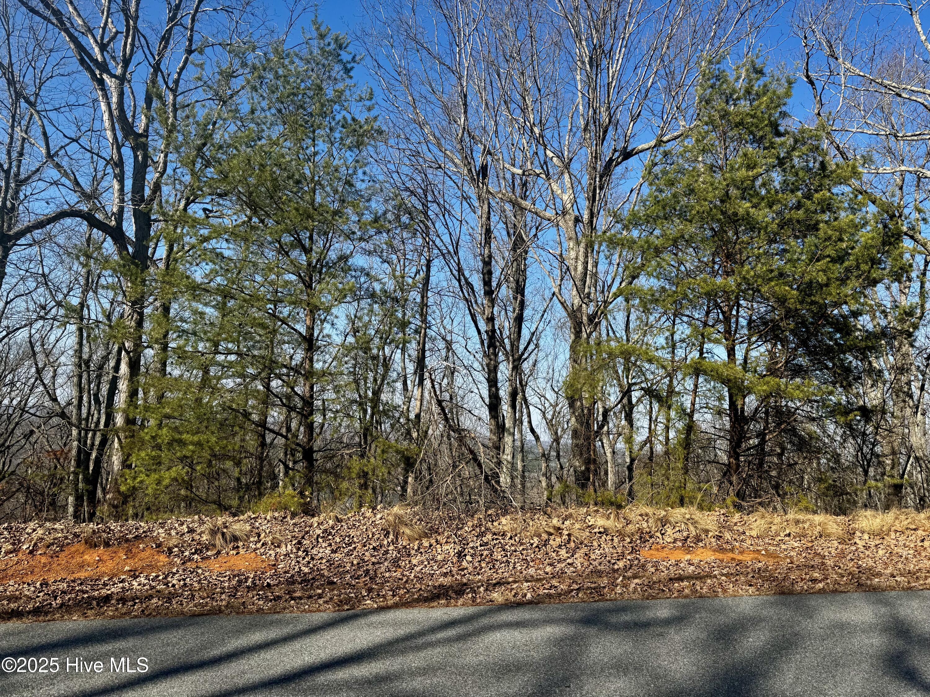 0 5th Street Ext, Hamlet, NC, 28345