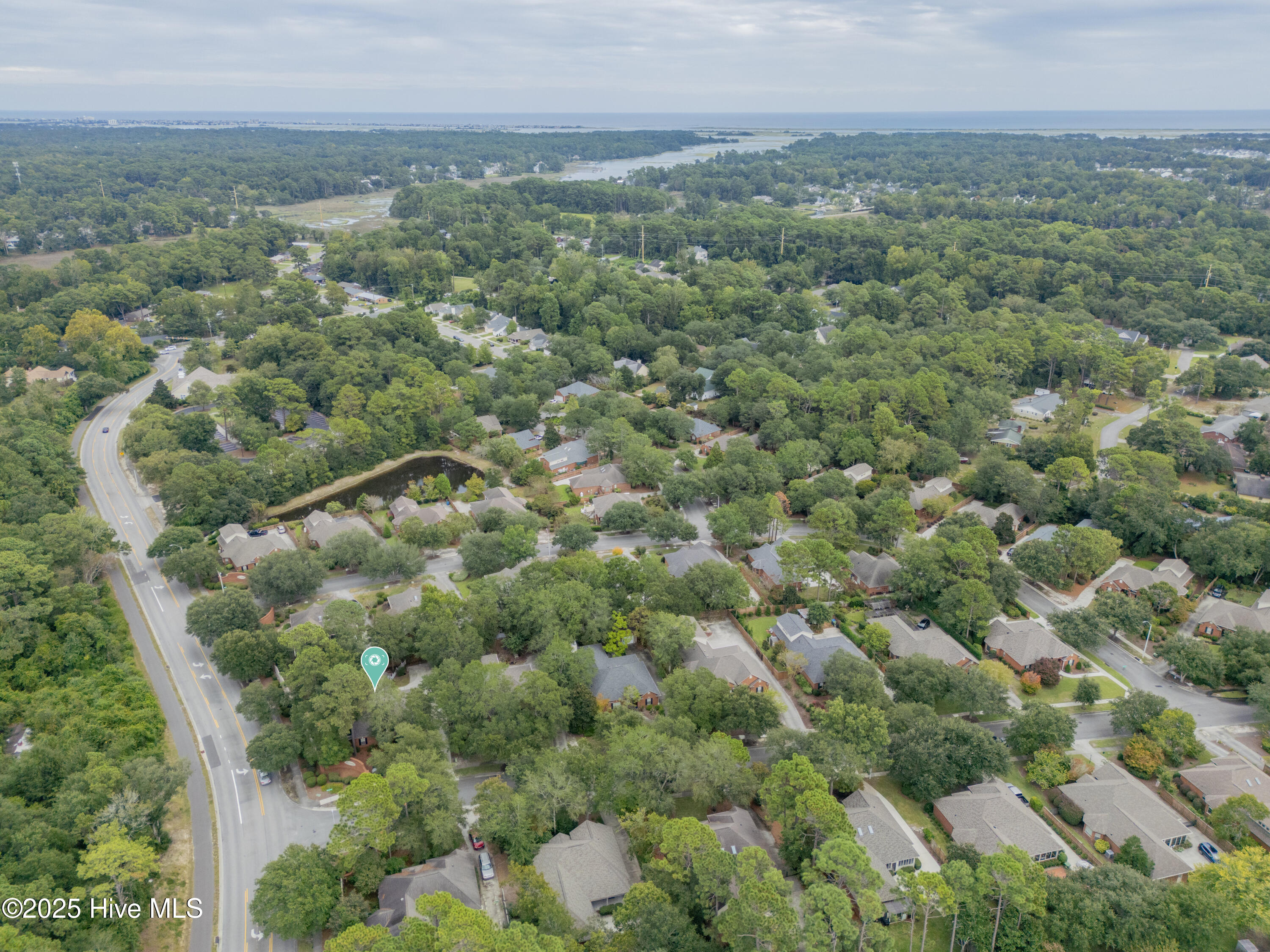 100530959 | Photo 32