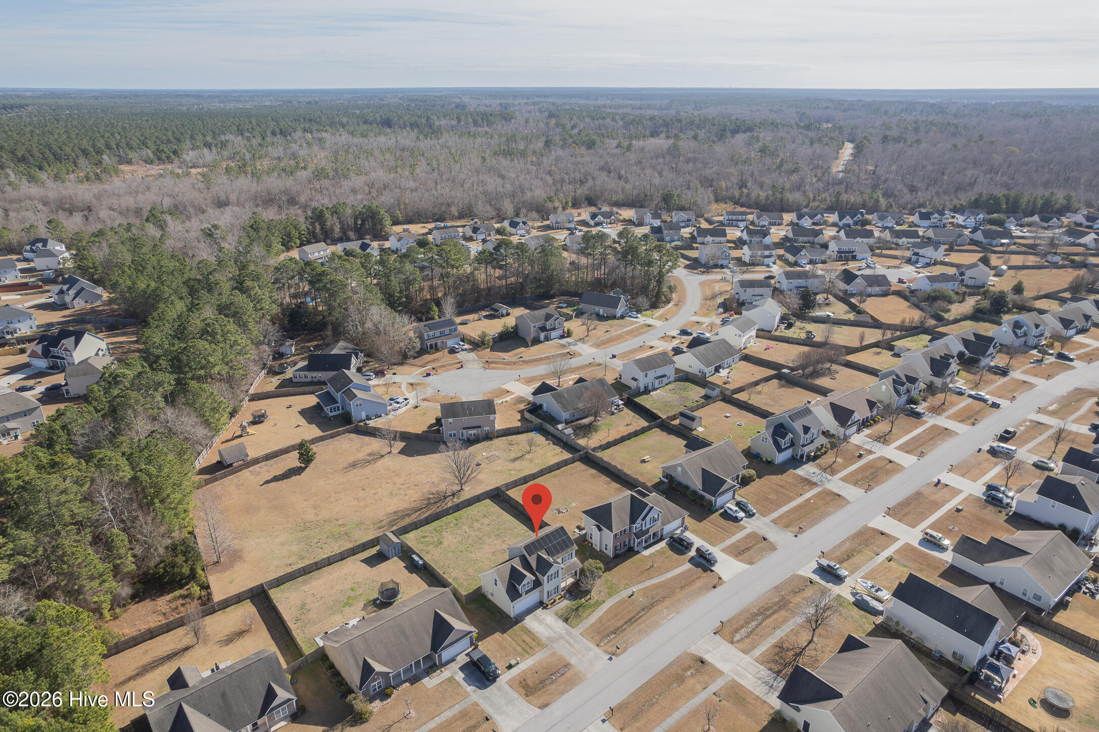 100554733 | Photo 53