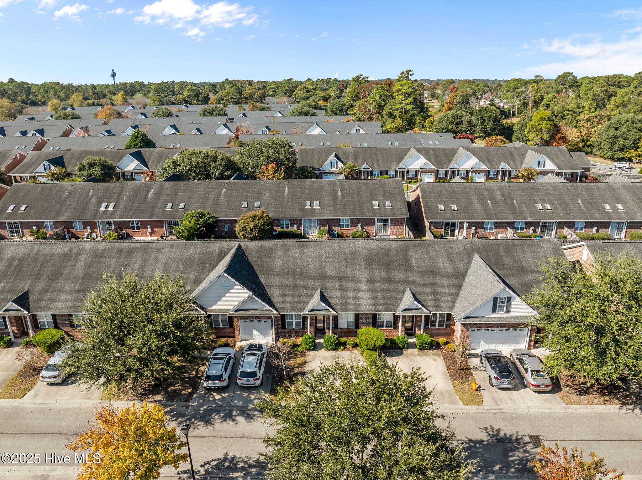 100540244 | Photo 45