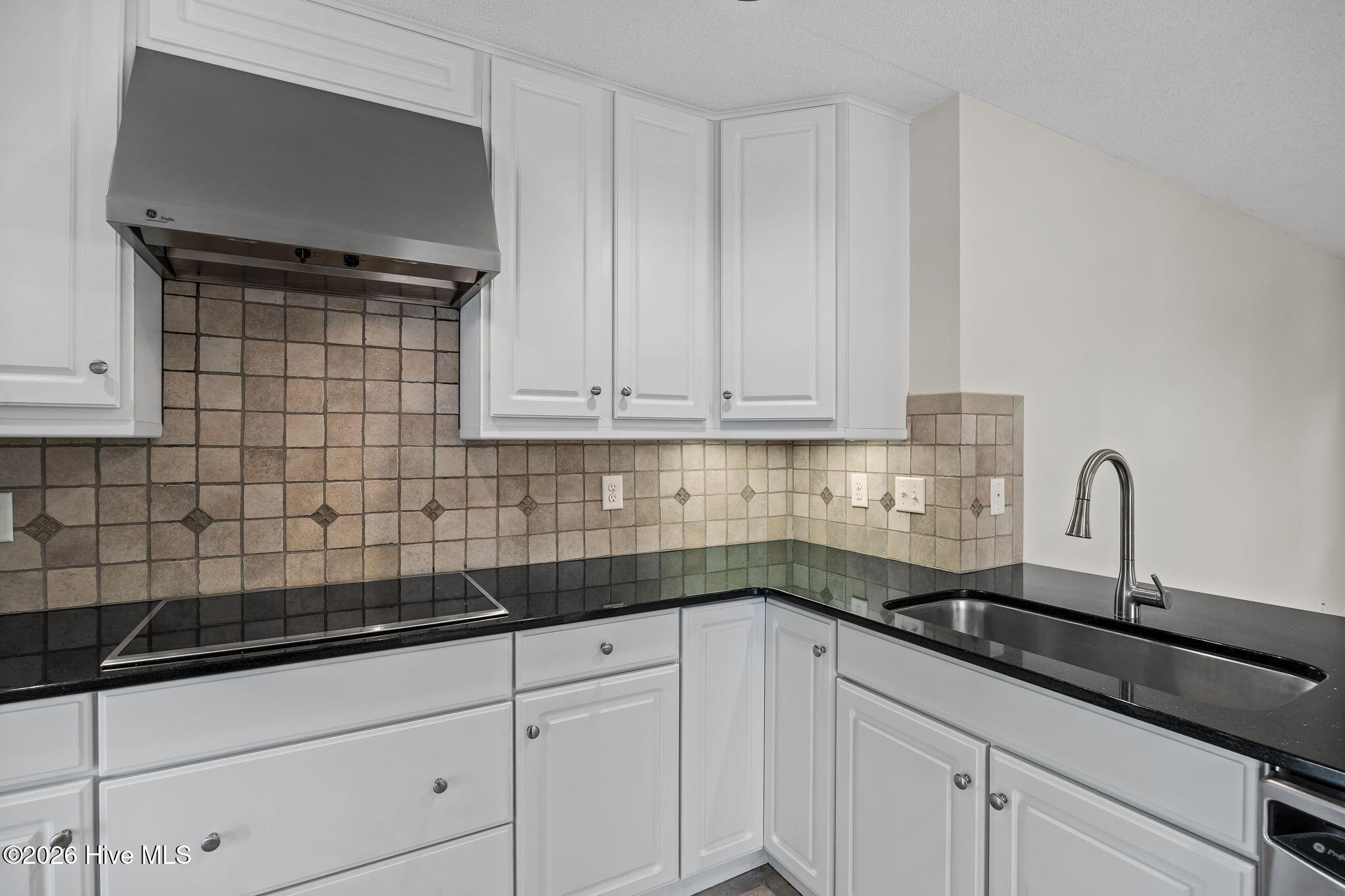 100565188 | Photo 13