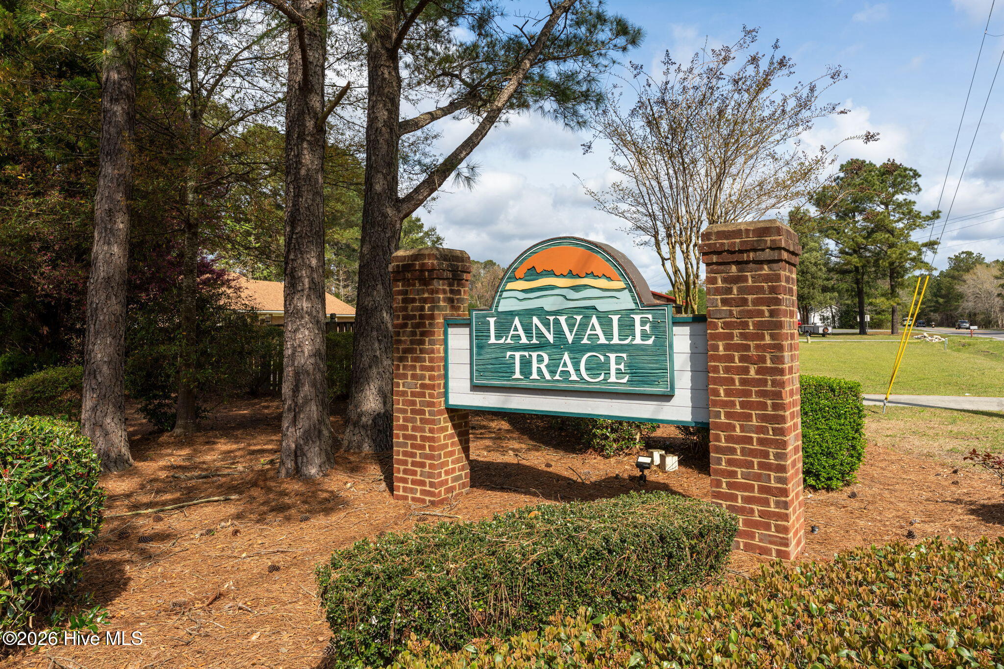 100563098 | Photo 36