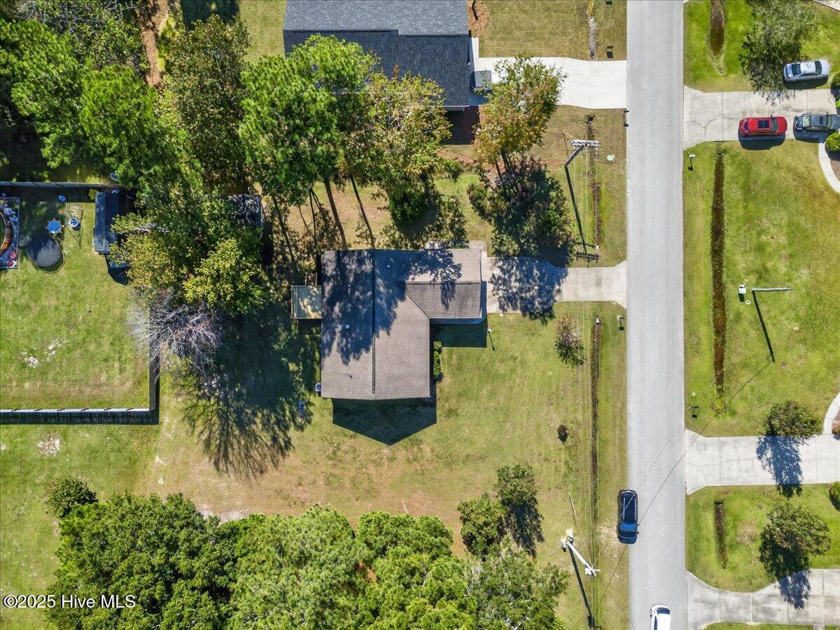 100537242 | Photo 47