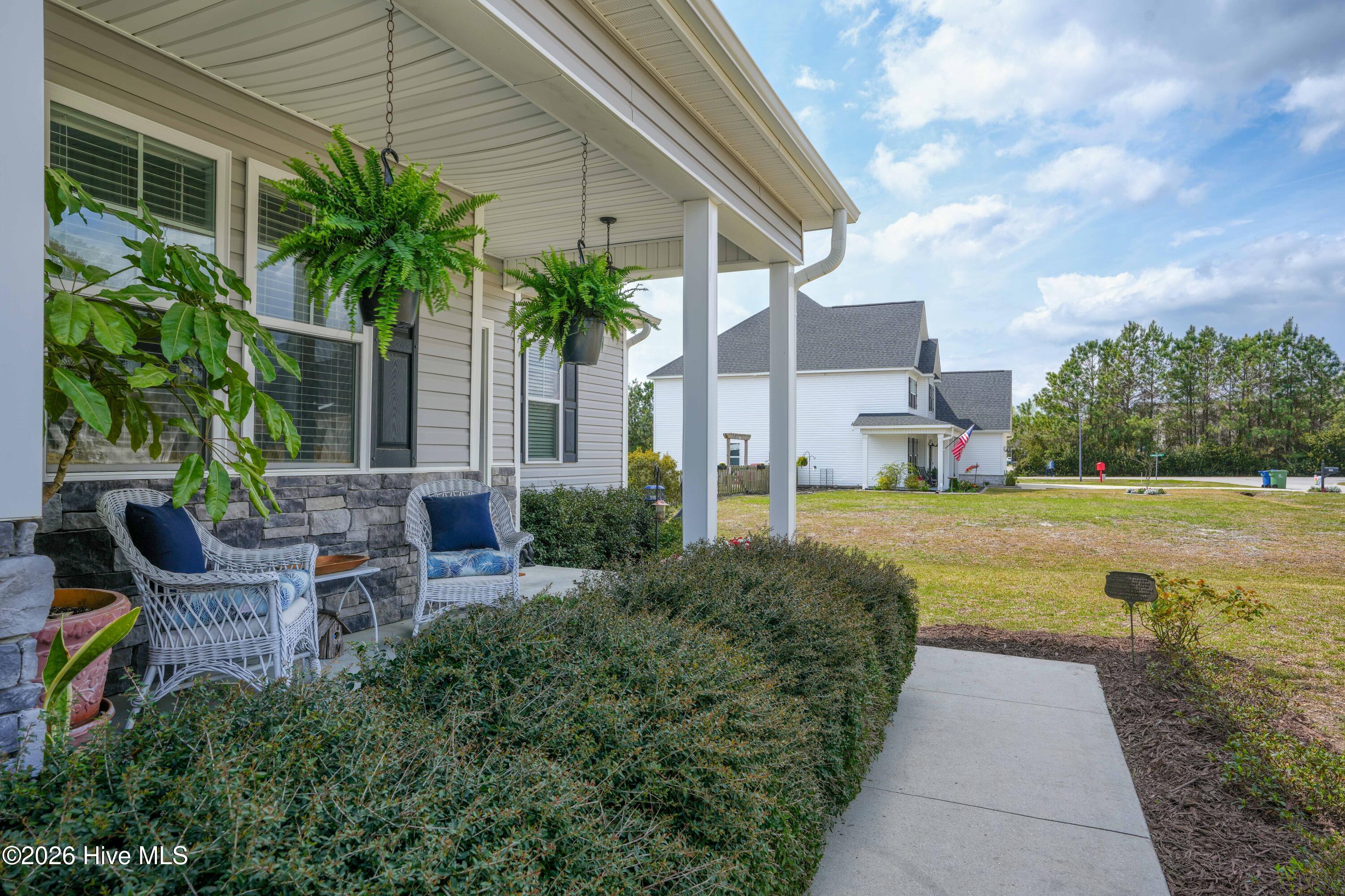 100563582 | Photo 11